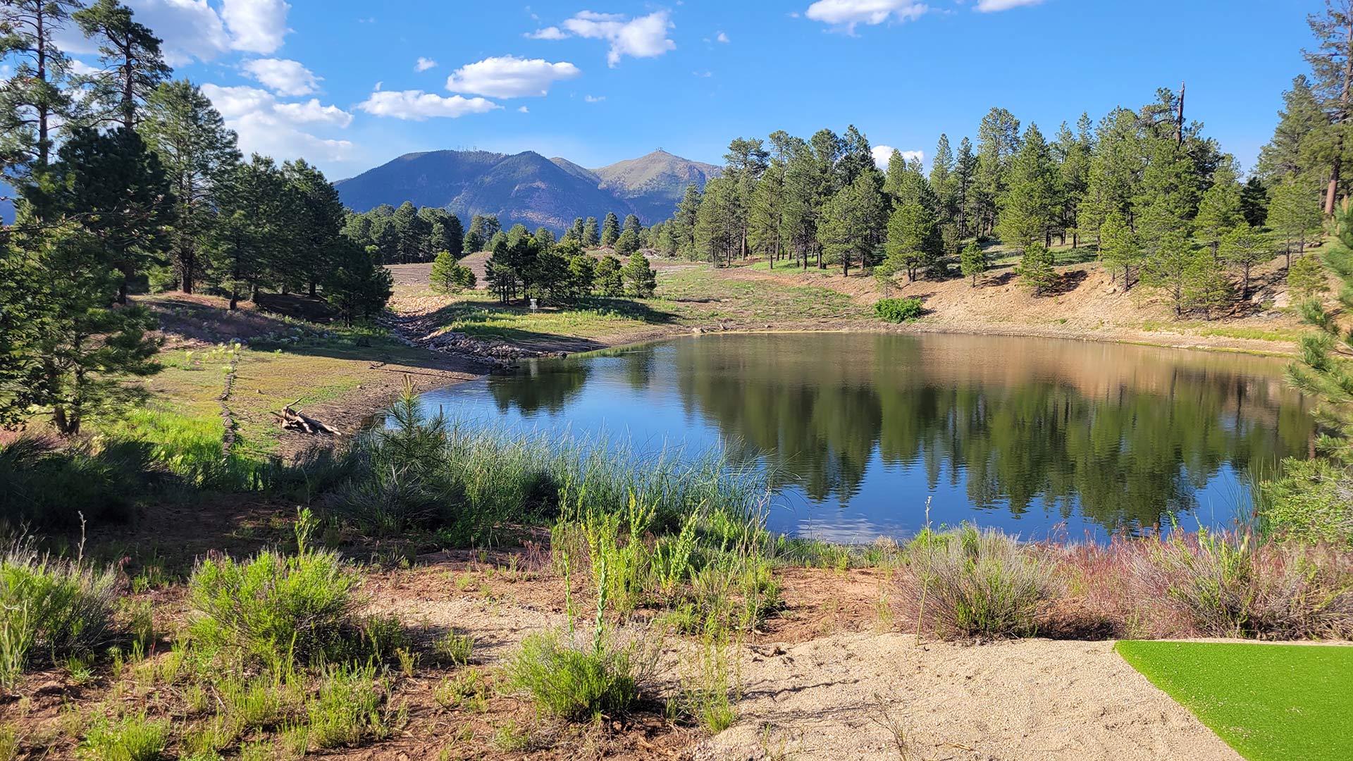 Disc golf hole