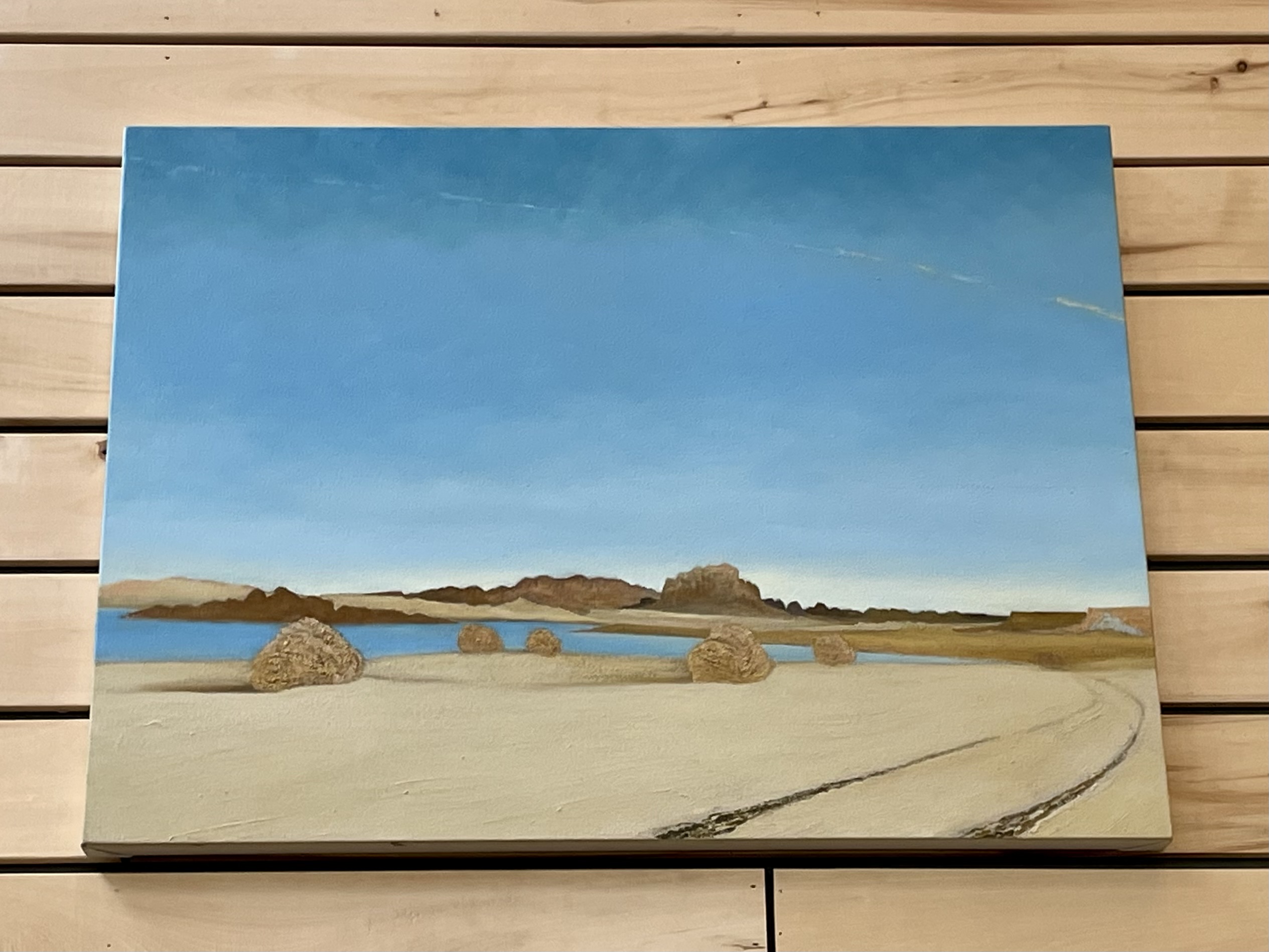 Colorado river artist 2 unsized