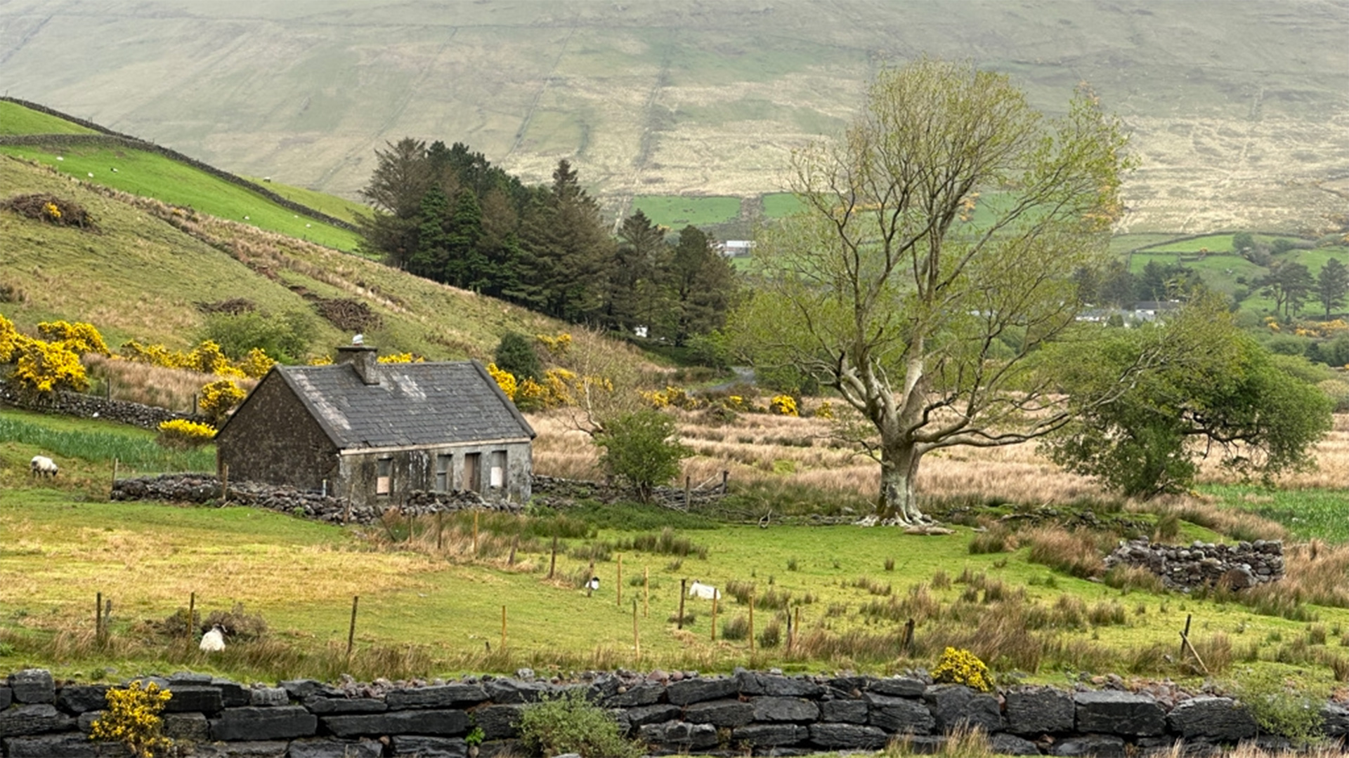 Countryside of County Galway, Ireland.