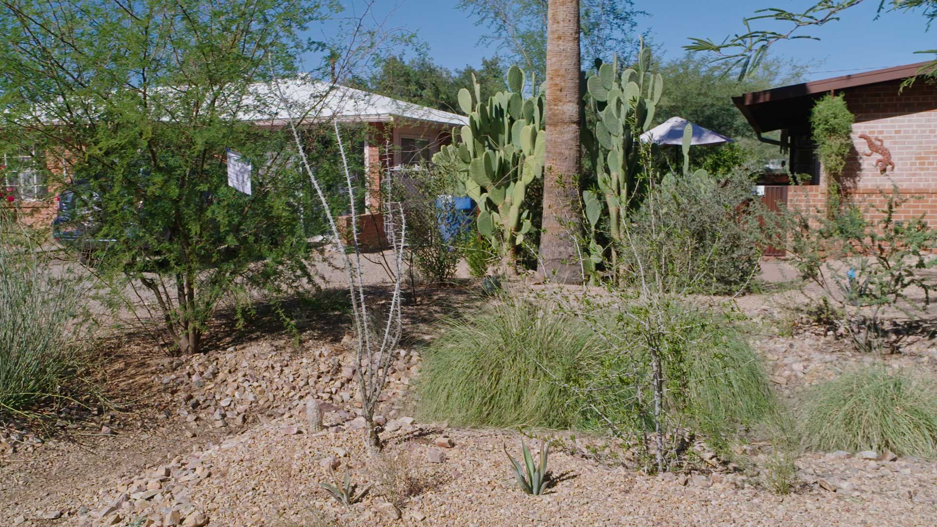 Watershed Management Group recently hosted its 12th Annual Desert Living Home Tour. 