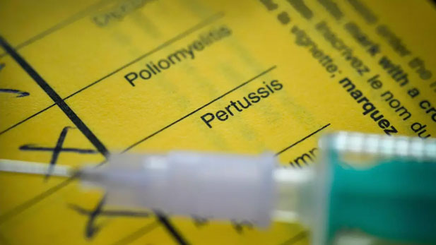 The COVID-19 pandemic interrupted some peoples ability to get vaccinations for other infectious diseases, including pertussis.