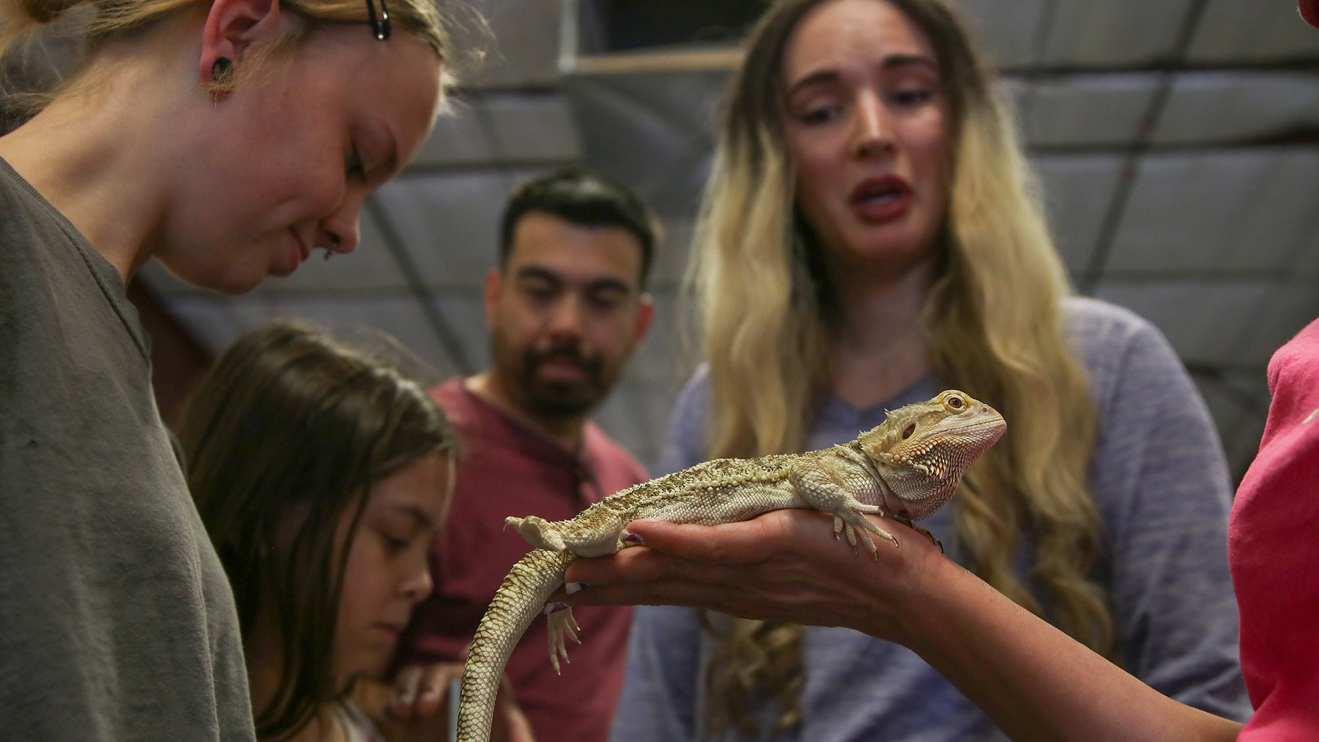 Tucson reptile show hero 2