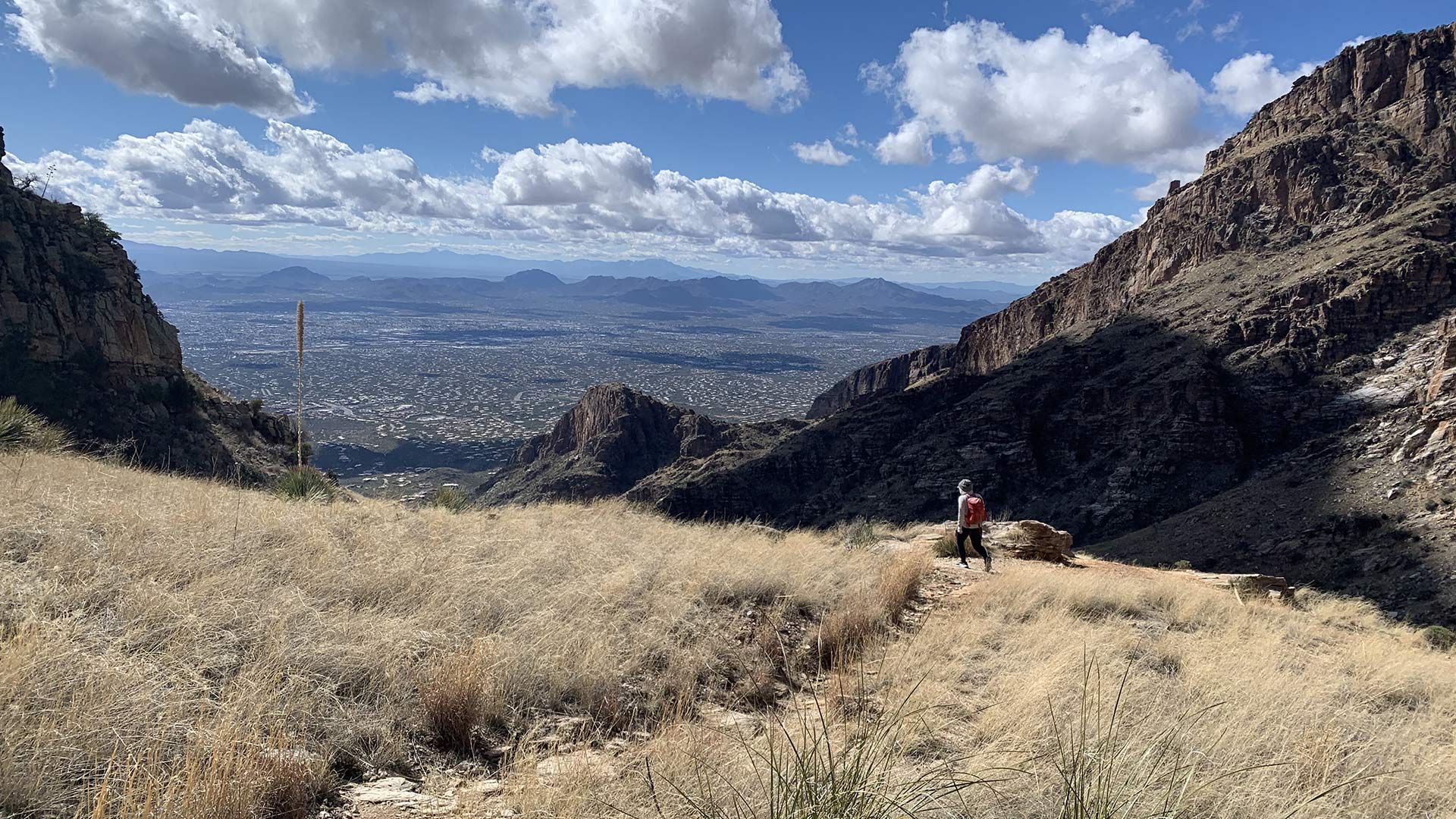 View from Finger Rock, Tucson, Ariz. 