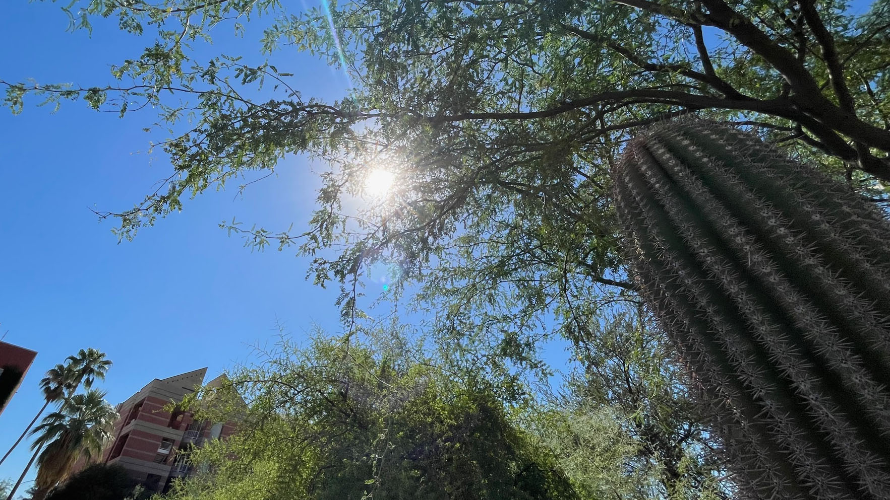 Record-setting temperatures are being set in 2024, including the hottest September ever. 
