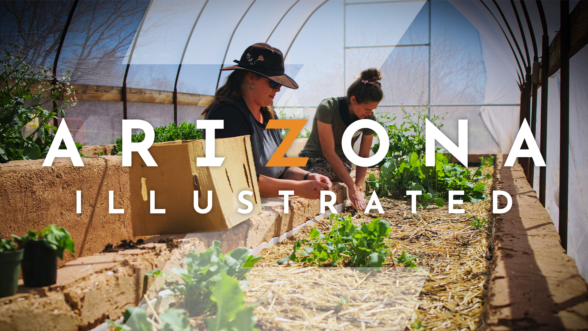 ARIZONA ILLUSTRATED presents Thriving in the Desert: Sustainable Landscaping for Southern Arizona