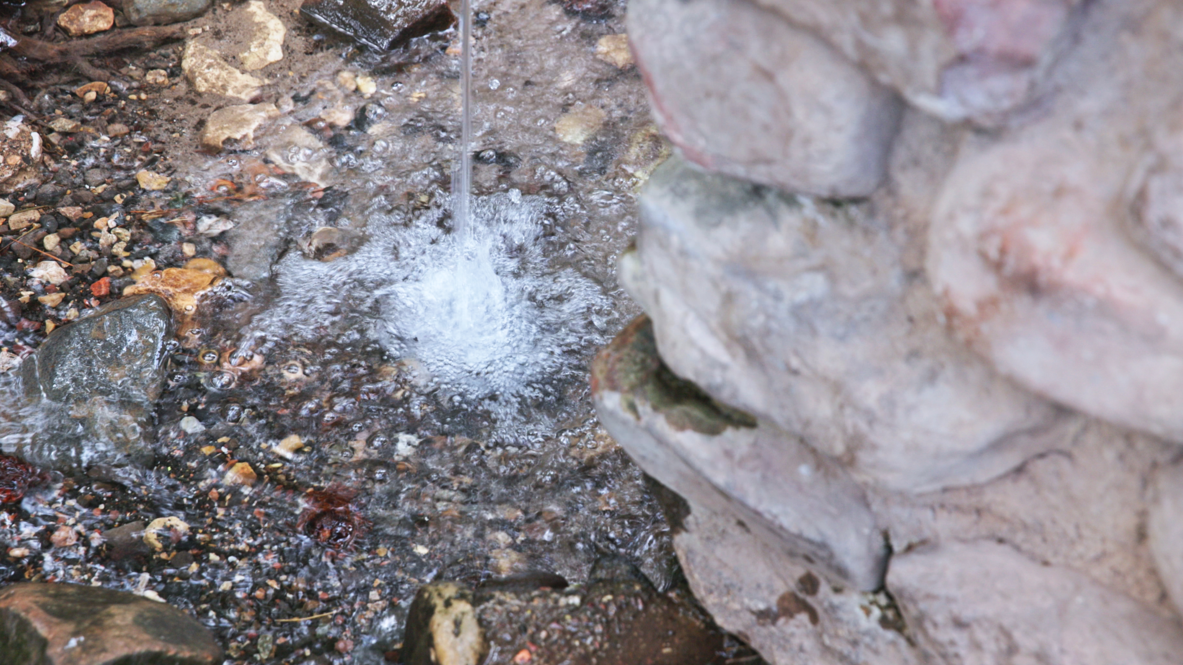 Positive Vibrations at the Fresh Water Spring