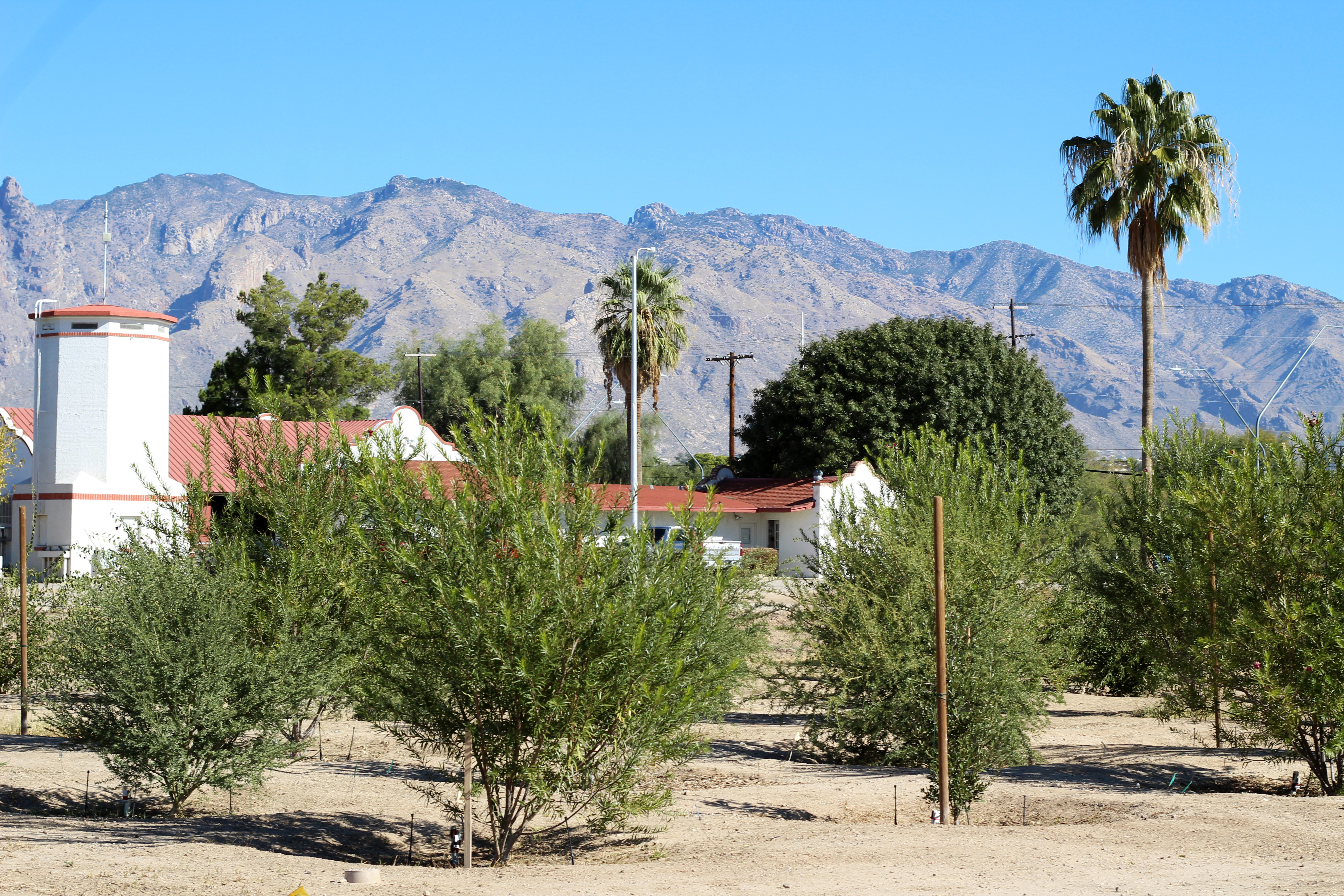 Smart Tree Watering at UA AG Center