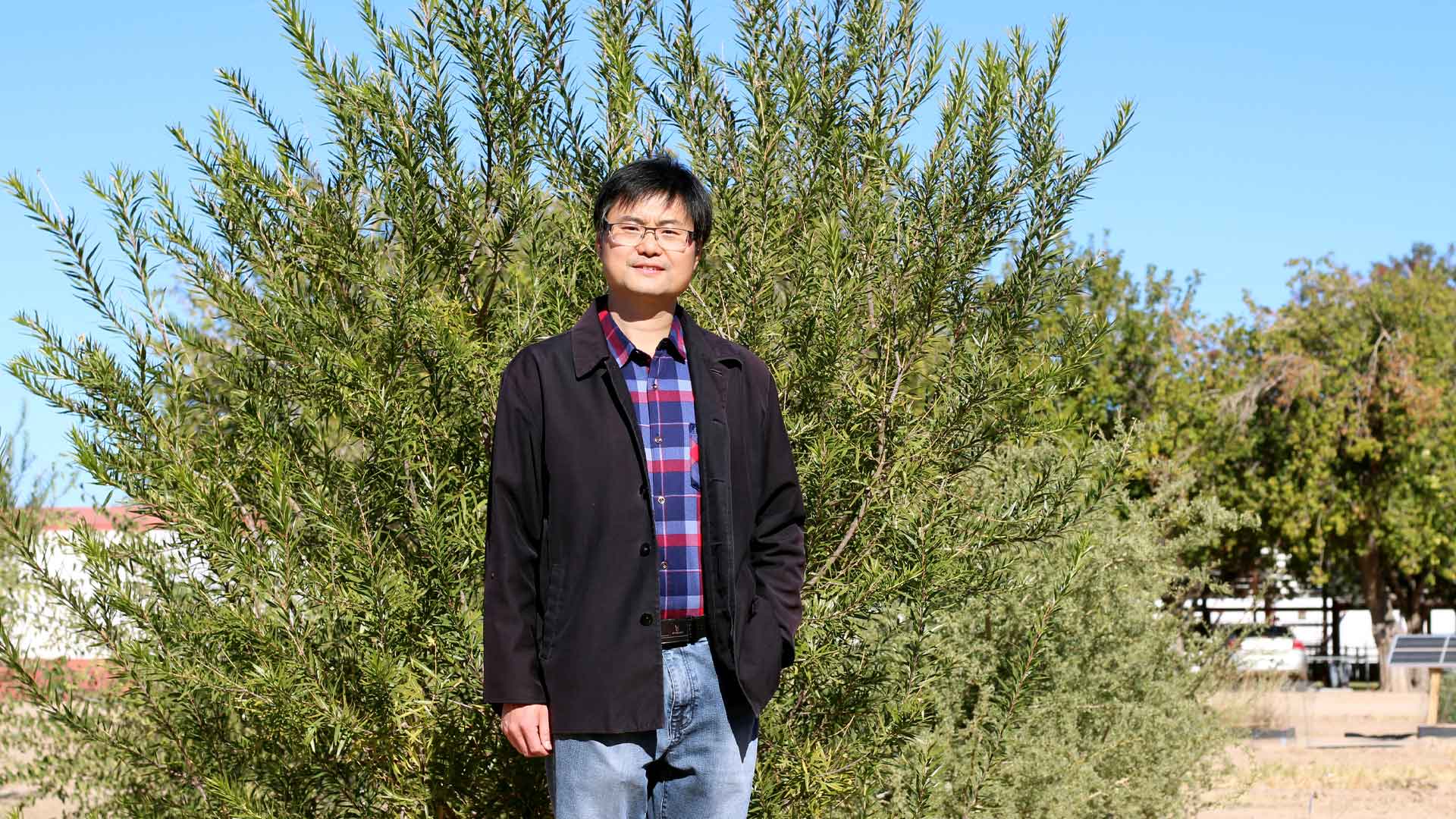 Bo Yang, UA professor of landscape architecture and urban planning at the Campus Agricultural Center in Tucson, Ariz., on Wednesday, Nov. 13, 2014. Yang is a faculty advisor for the Smart Tree Watering project. 