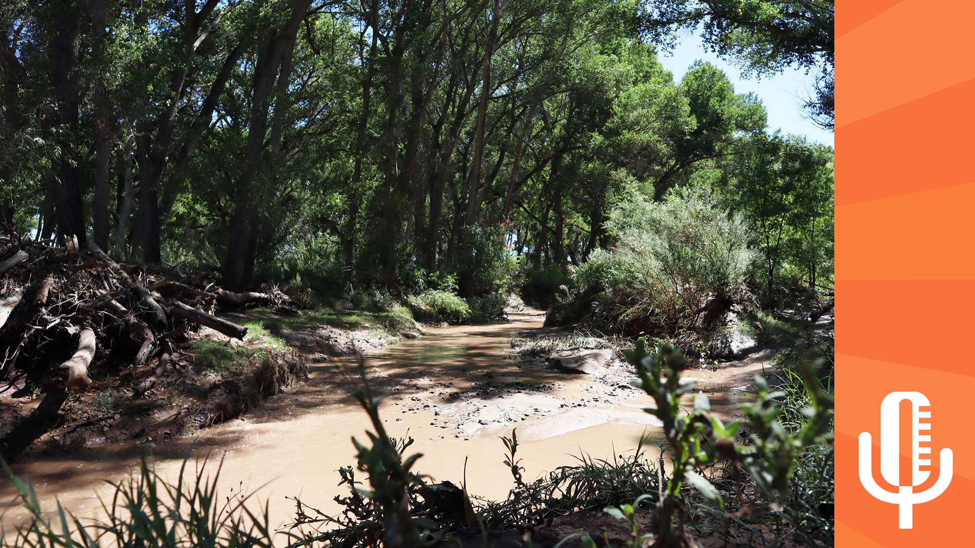 The San Pedro River post-Monsoon rain. September 14, 2023.