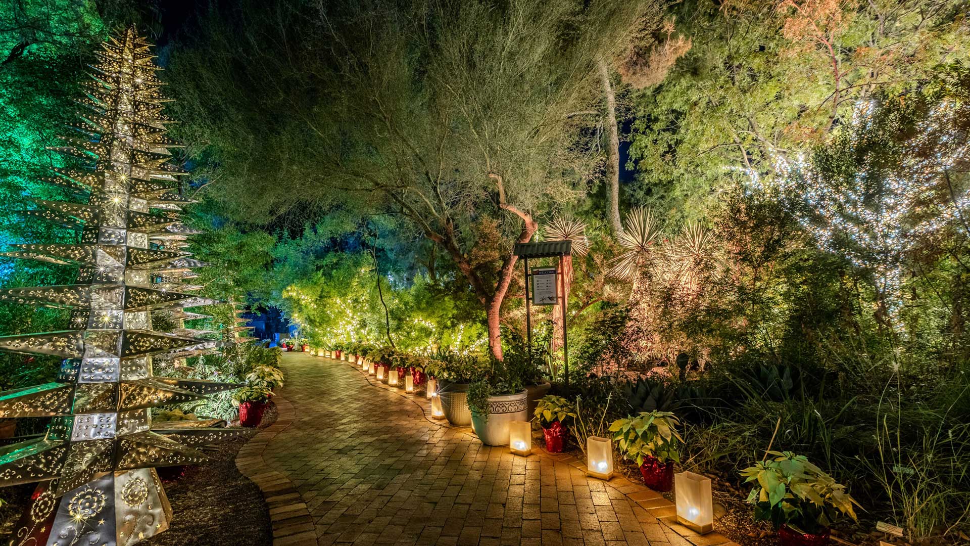 Festive luminarias light the path through the Tucson Botanical Gardens.