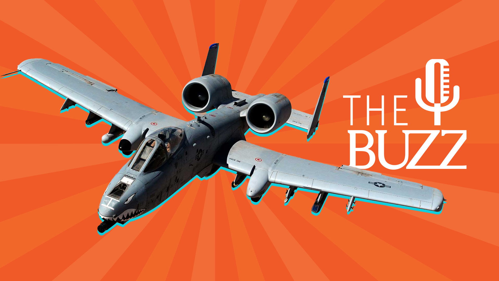 The Buzz (and the Davis Monthan Air Force Base) says goodbye to the A-10 warthog.