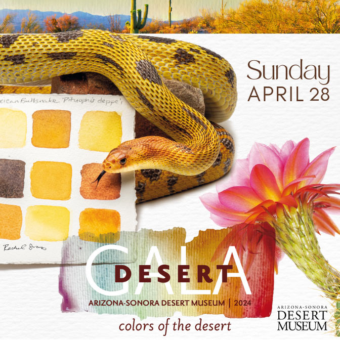 Arizona-Sonora Desert Museum Desert Gala