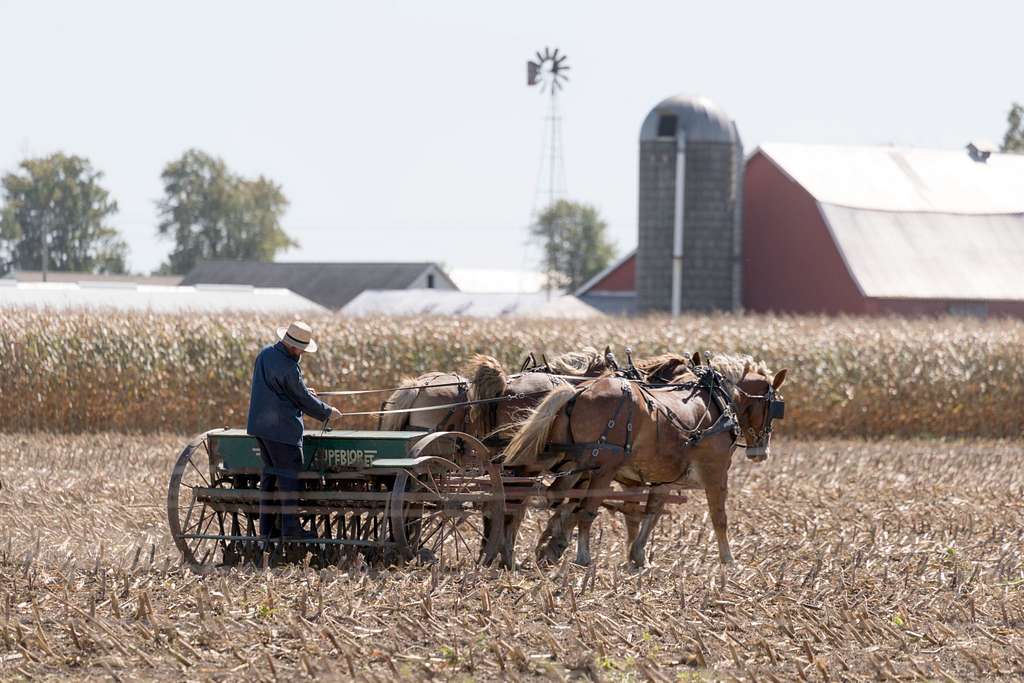 Amish farming in Indiana.