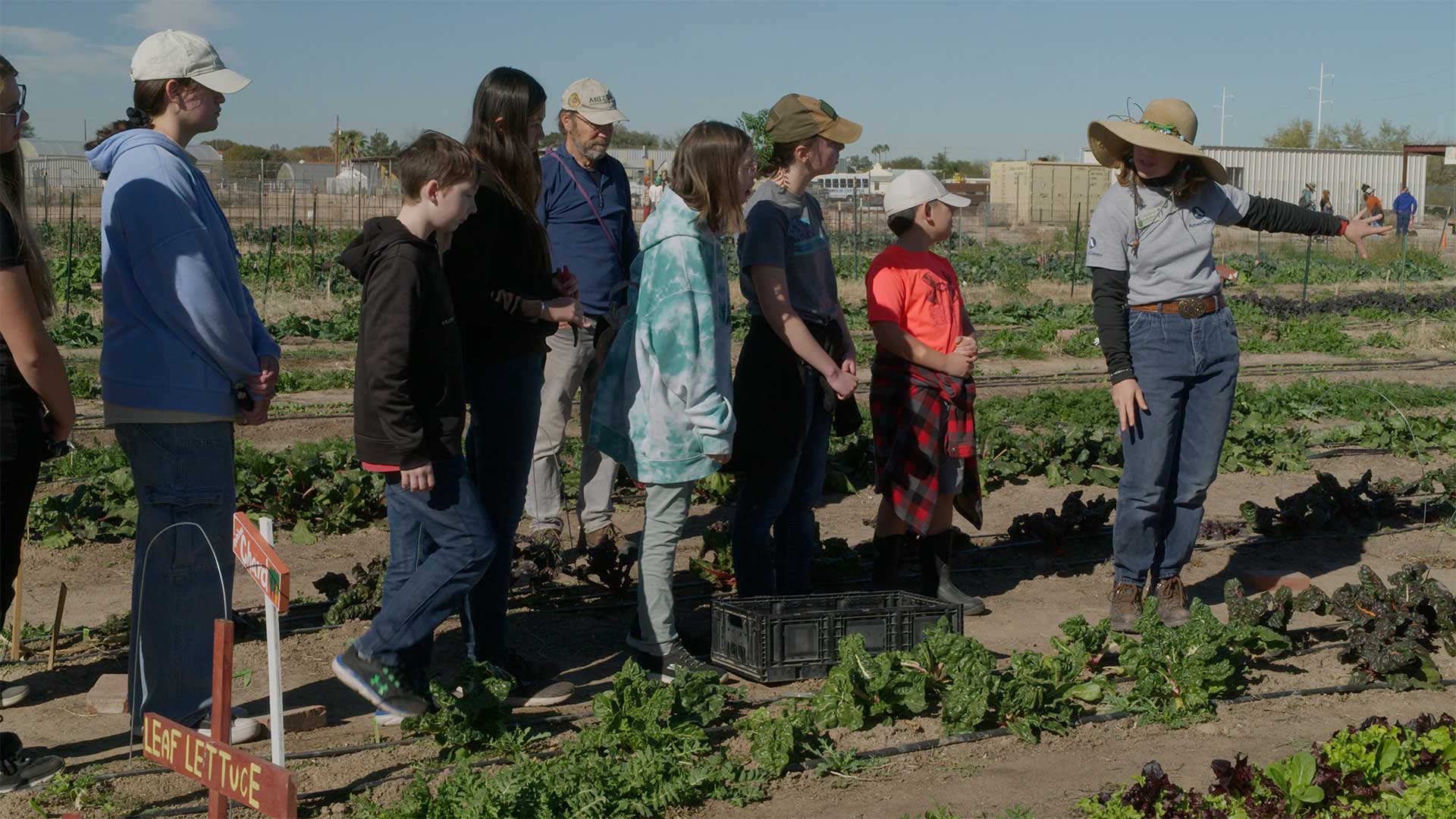 Farm in metropolitan Tucson leads to plant and personal growth in the Sonoran Desert region. 