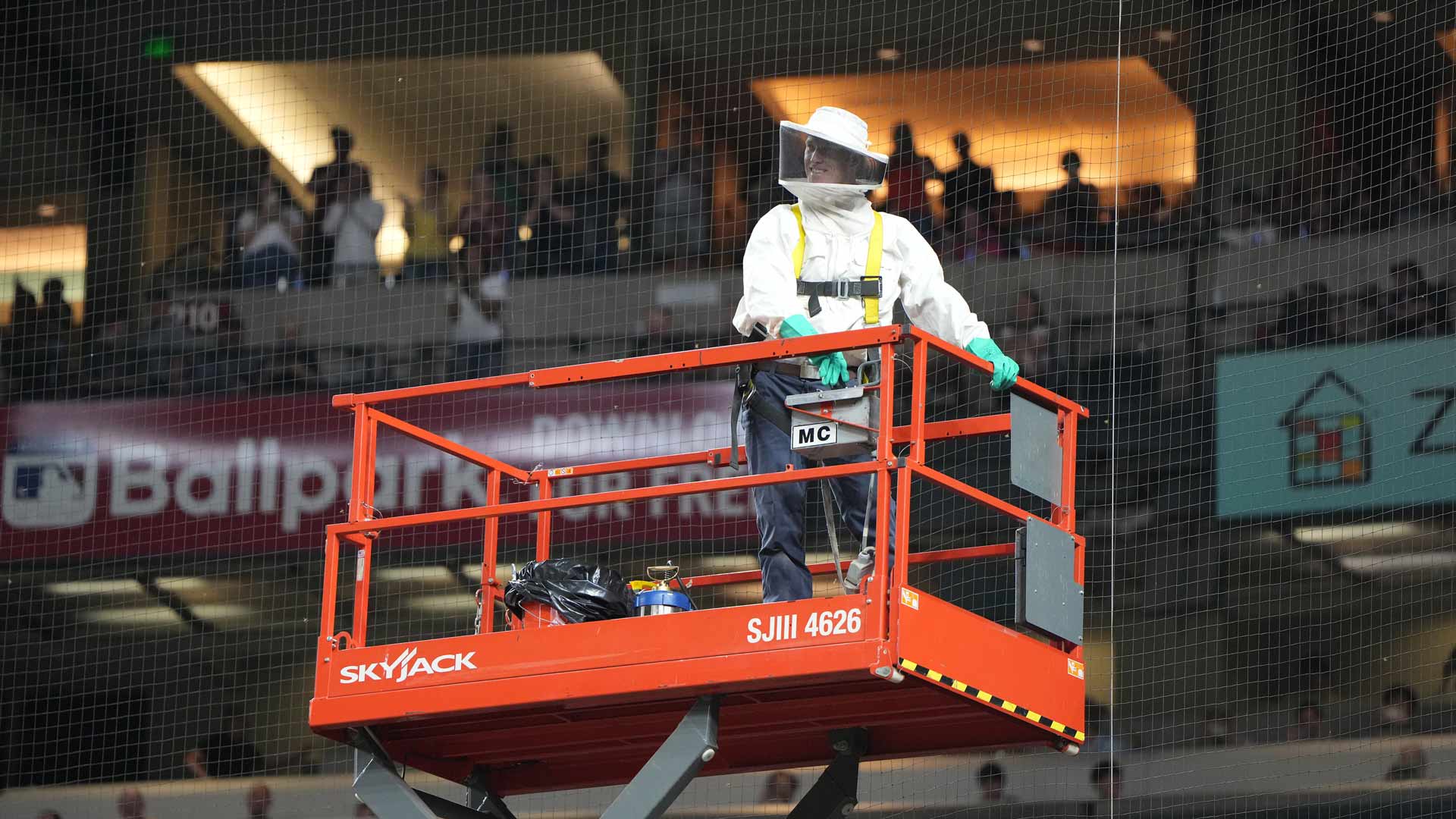 Matt Hilton with Blue Sky Pest Control rides a scissor lift to remove a swarm of bees in the net behind home plate before the start of the Diamondbacks game.  April 30, 2024