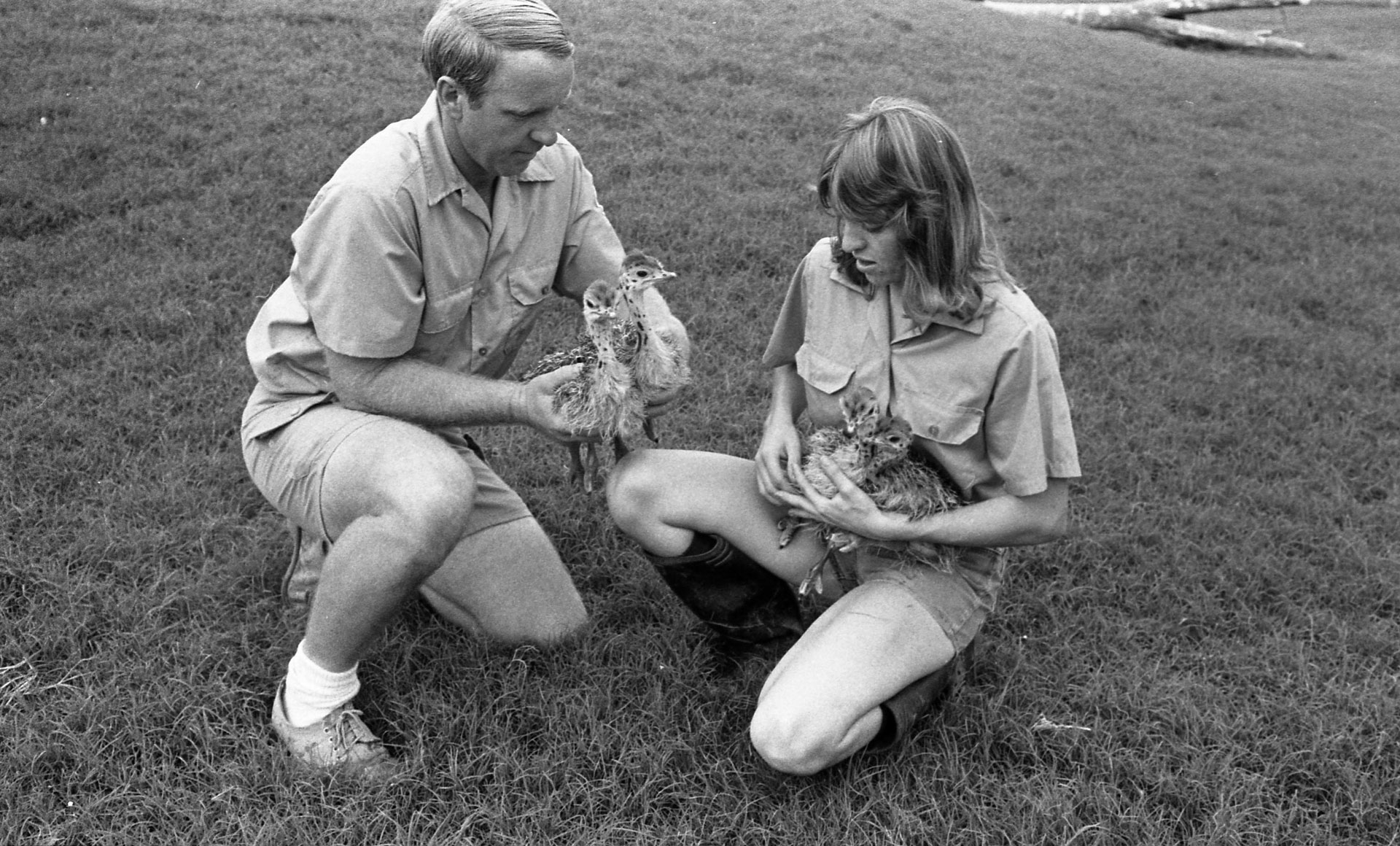 Baby Ostritches and Zookeepers 1977 Reid Park Zoo