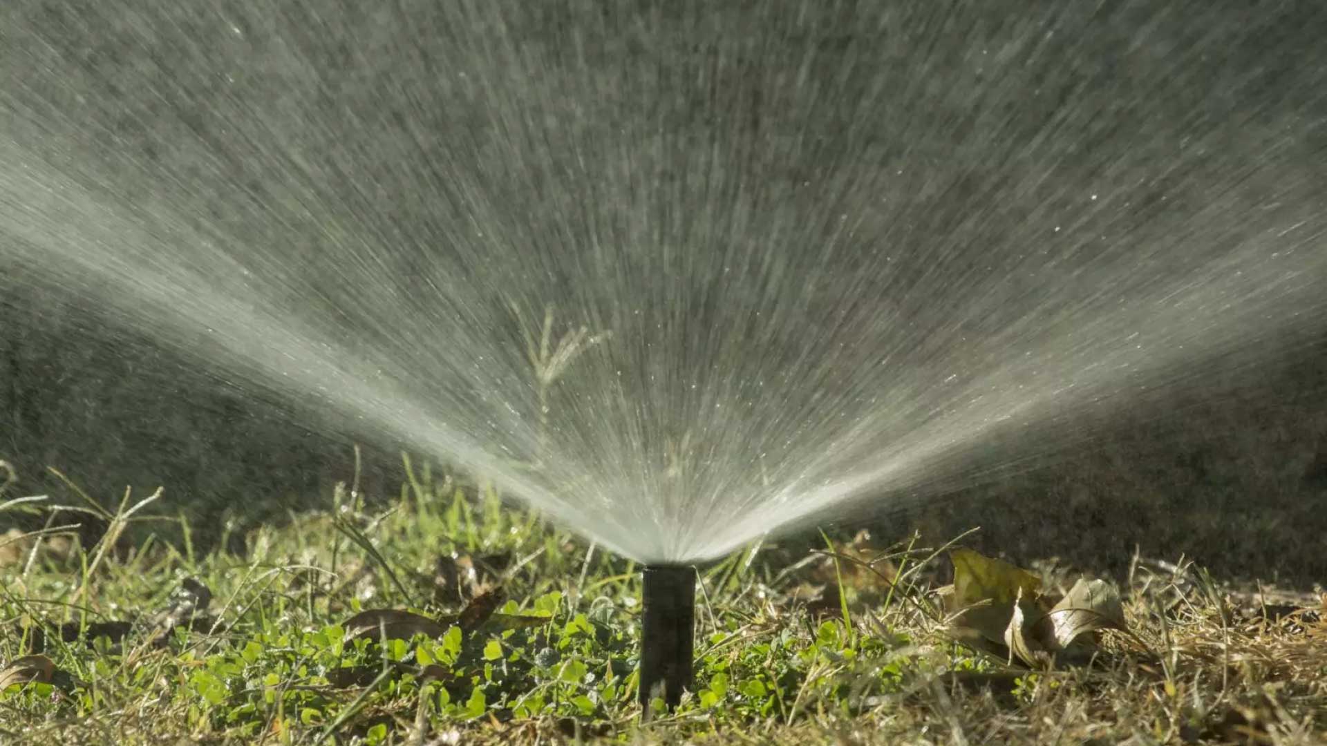 A sprinkler runs on a hot day in Phoenix.