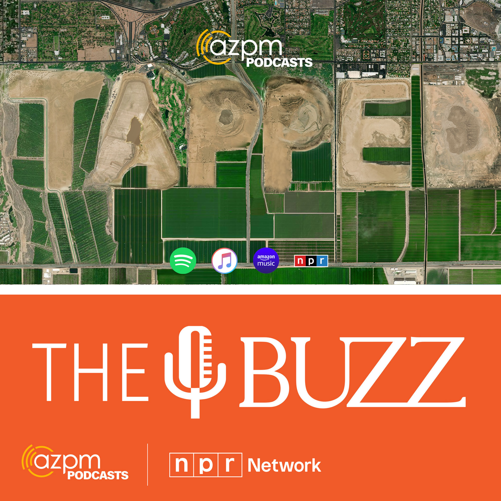 The Buzz