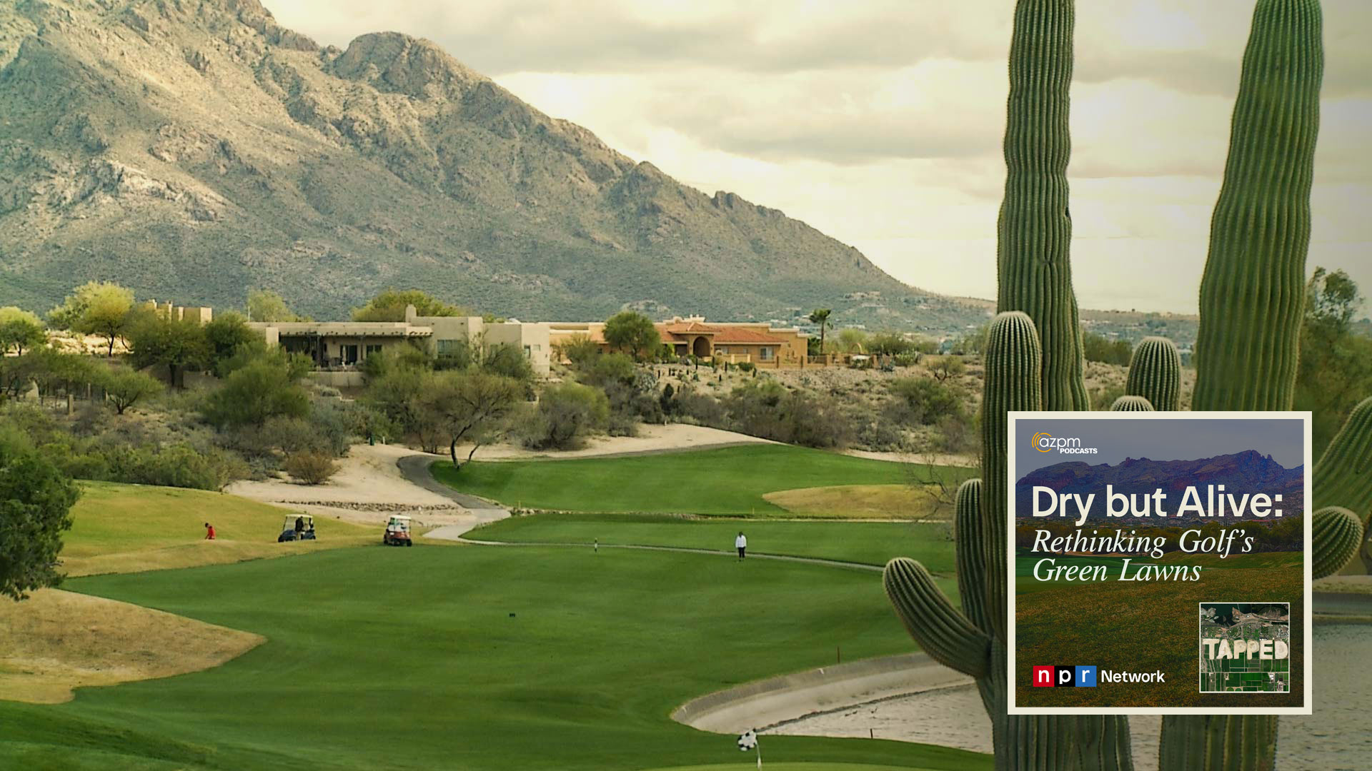 Arizona has long been a hotspot for golfers looking to keep up their game as weather elsewhere turns cold. But, for just as long, the state has been working to limit water use by golf courses. How much of a part does golf play in Arizona's water issues?