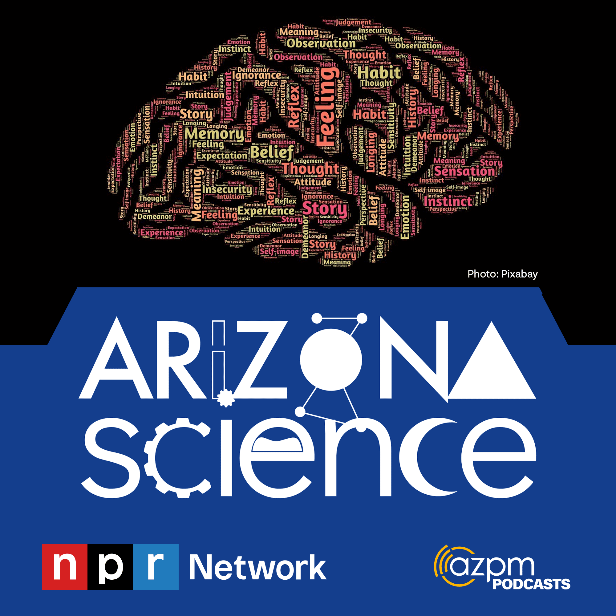 How the mind keeps active during the brain's “down time” episode artwork