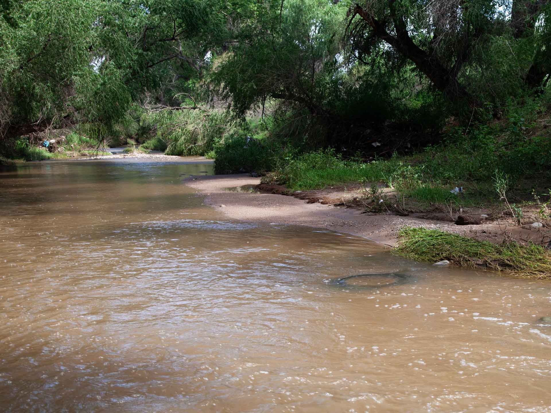 Santa Cruz River Tire