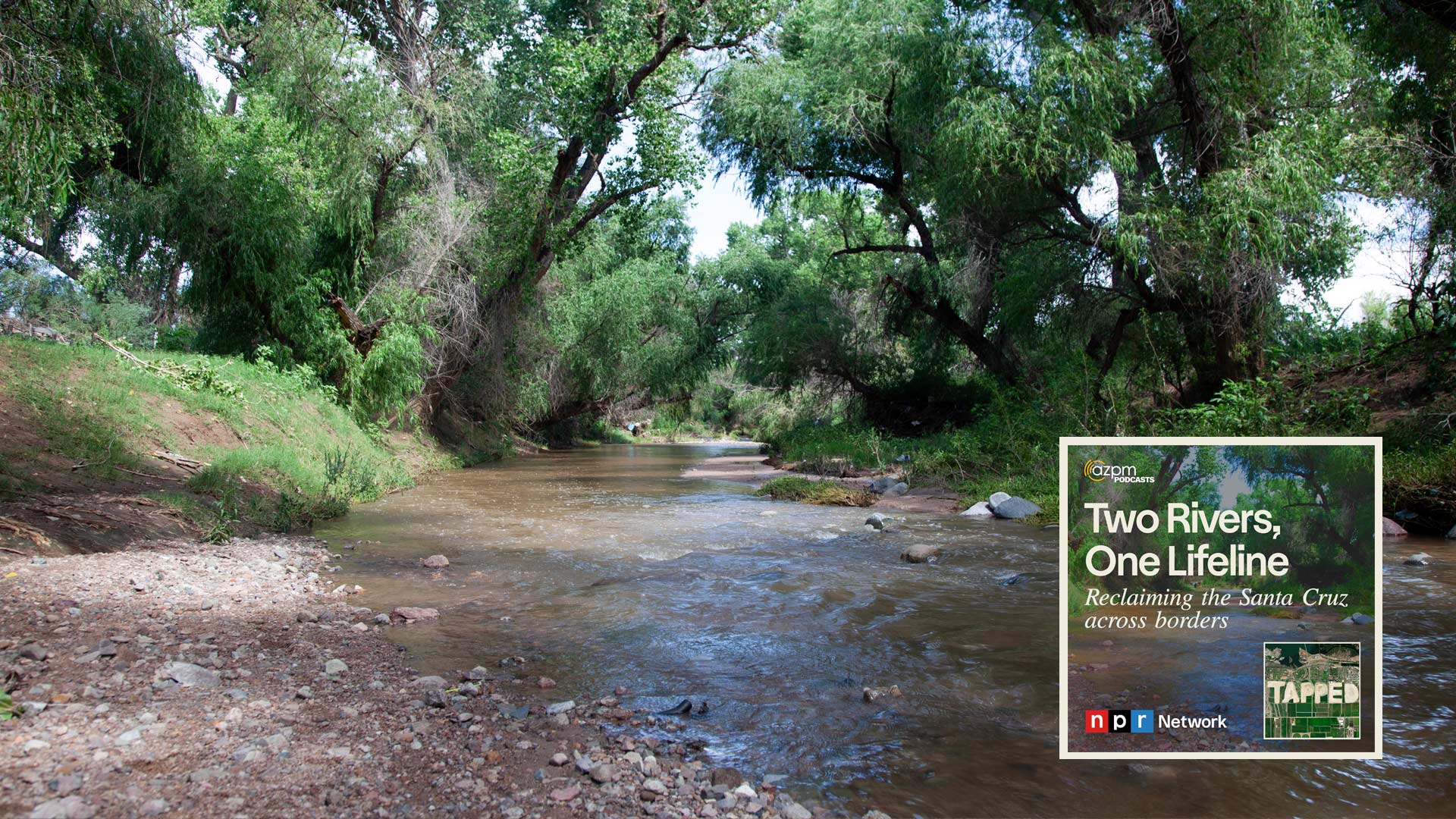 Highly treated wastewater and stormwater flows through the Santa Cruz River off of the Guy Tobin Trailhead in Rio Rico, Ariz., on Thursday, Aug. 1, 2024. 