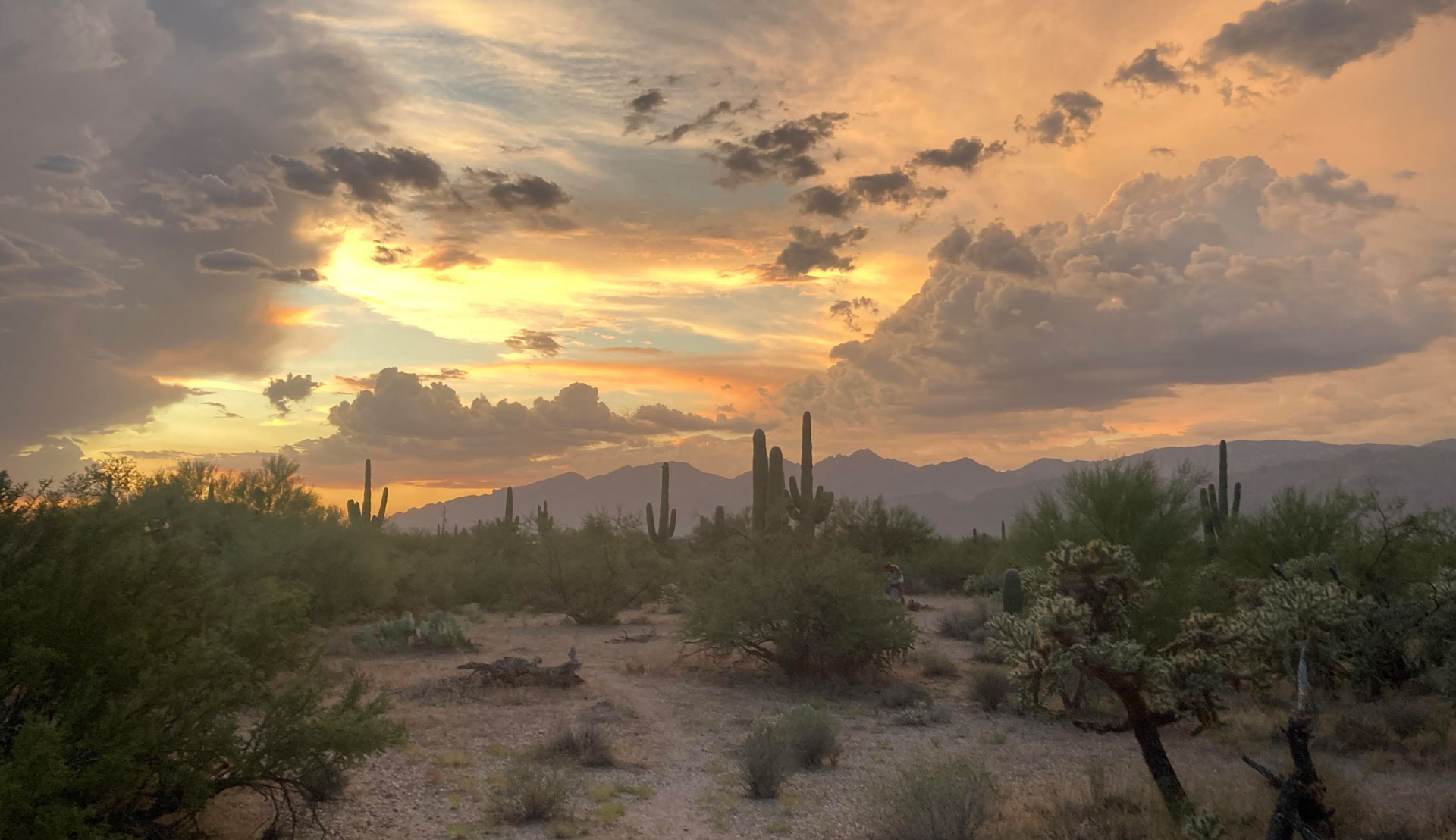 Sunset over the Catalinas.