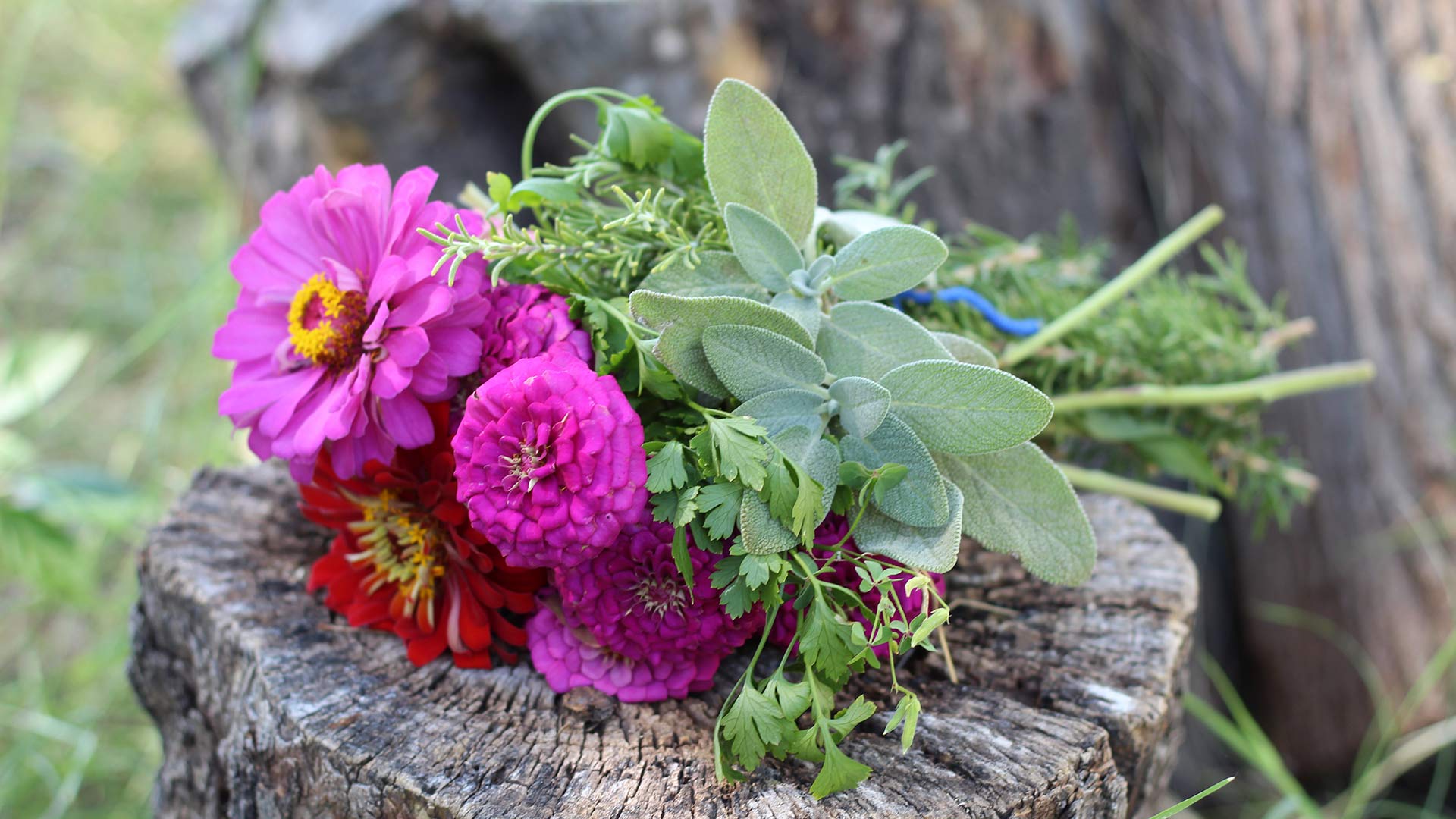 Bouquet of Flowers and Herbs