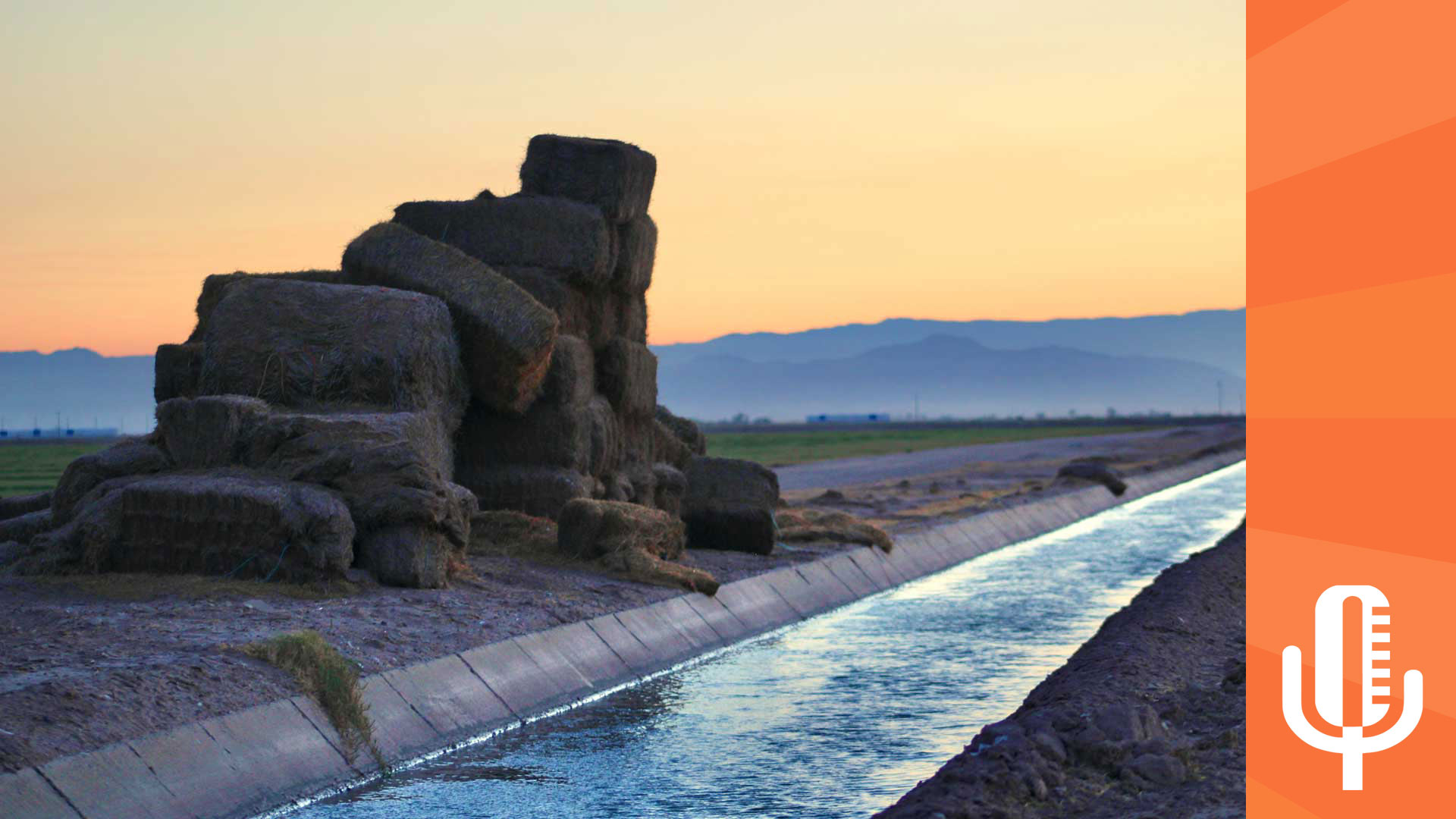 Stacks of hay bales sit beside an irrigation canal in Imperial Valley on June 20, 2023. Critics have called for reductions to the amount of alfalfa grown with Colorado River water. The particularly thirsty crop is mostly used for cattle feed. 