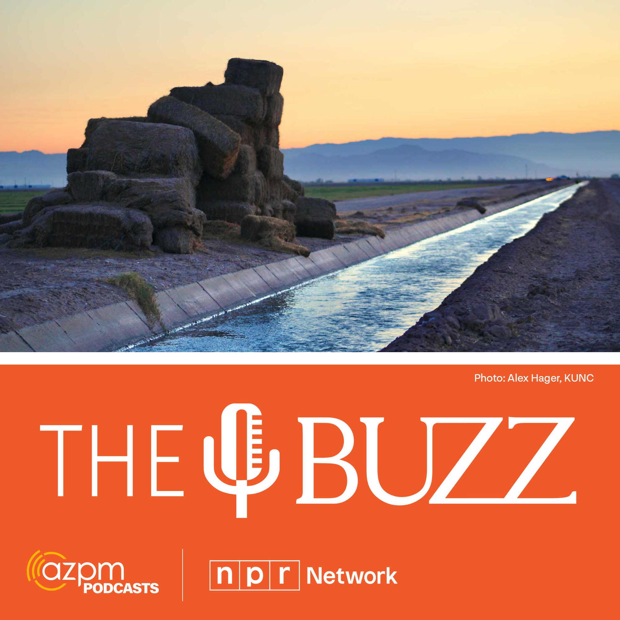 The Buzz