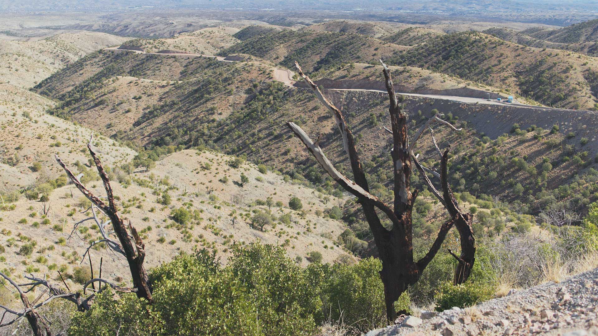 Atascosa Borderlands