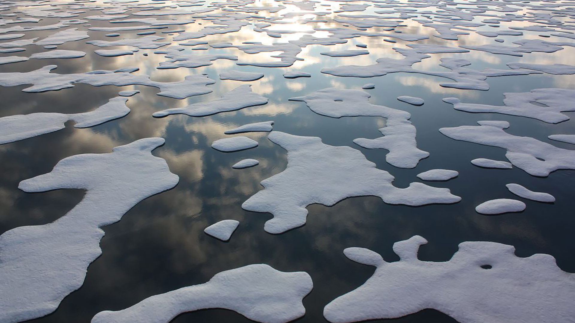 Arctic sea ice.