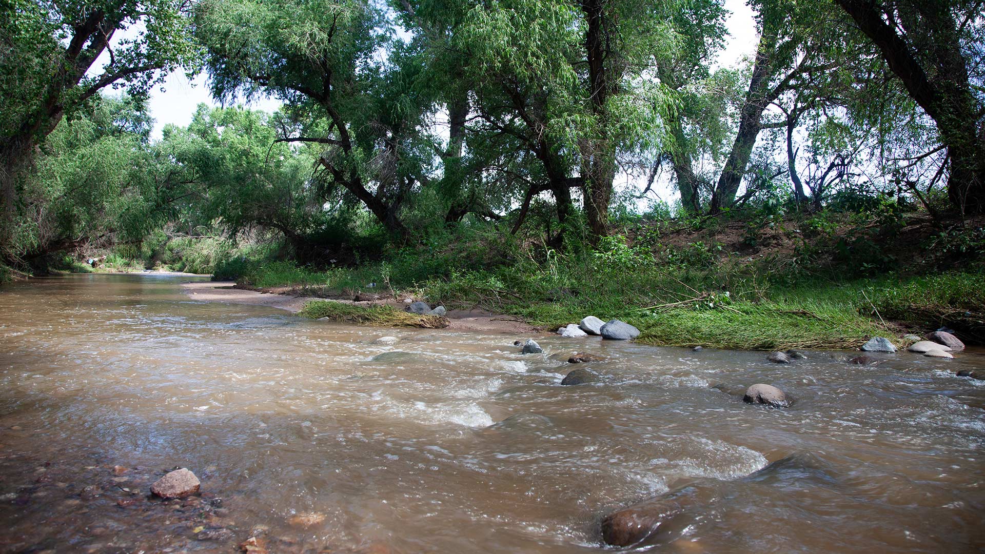 Highly treated wastewater and stormwater flows through the Santa Cruz River off of the Guy Tobin Trailhead in Rio Rico, Ariz., on Thursday, Aug. 1, 2024. 