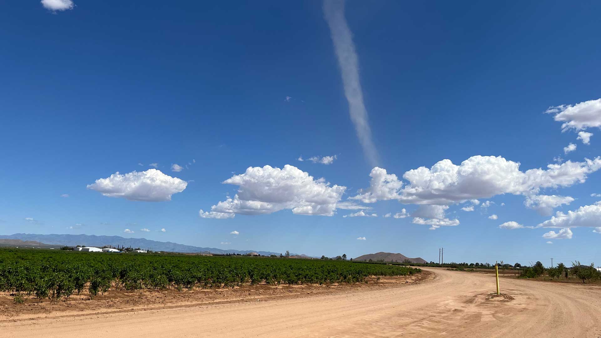 Desert Farm