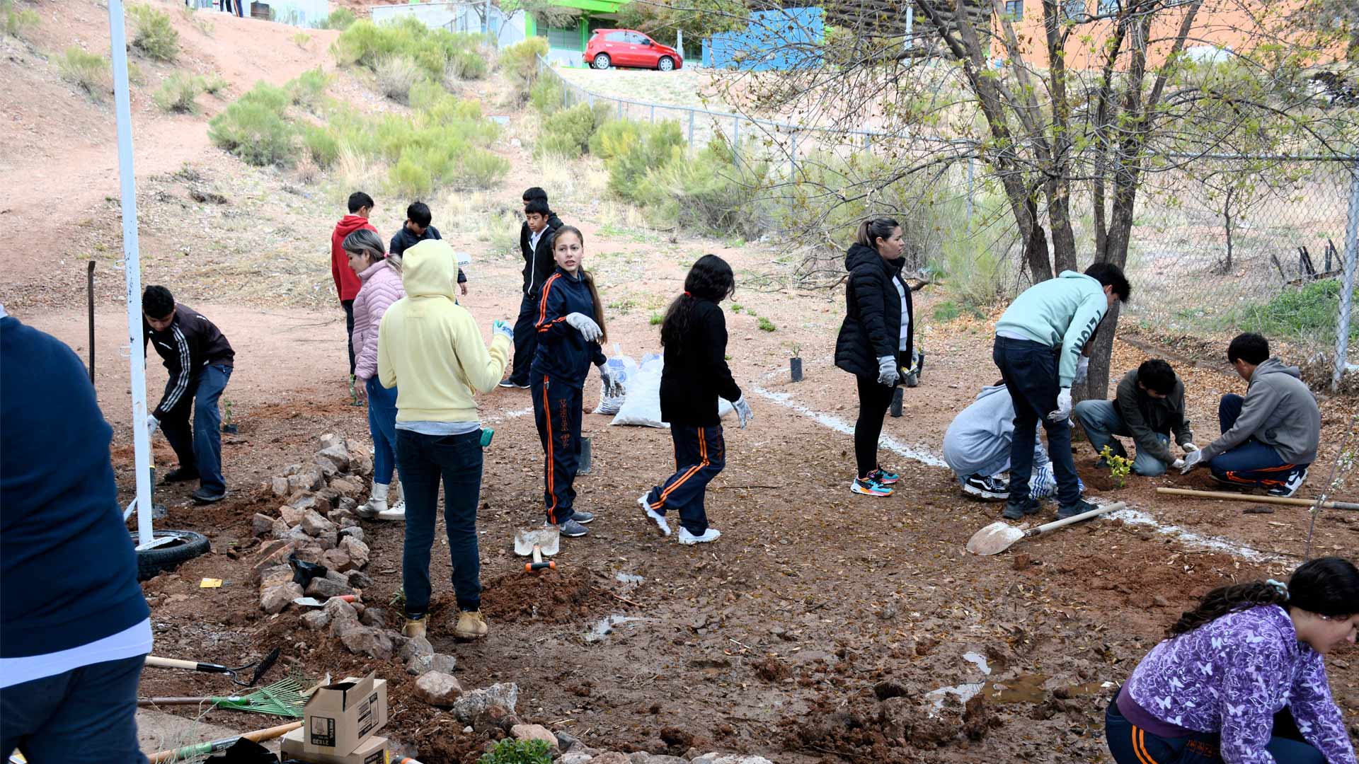 Sonora kids working