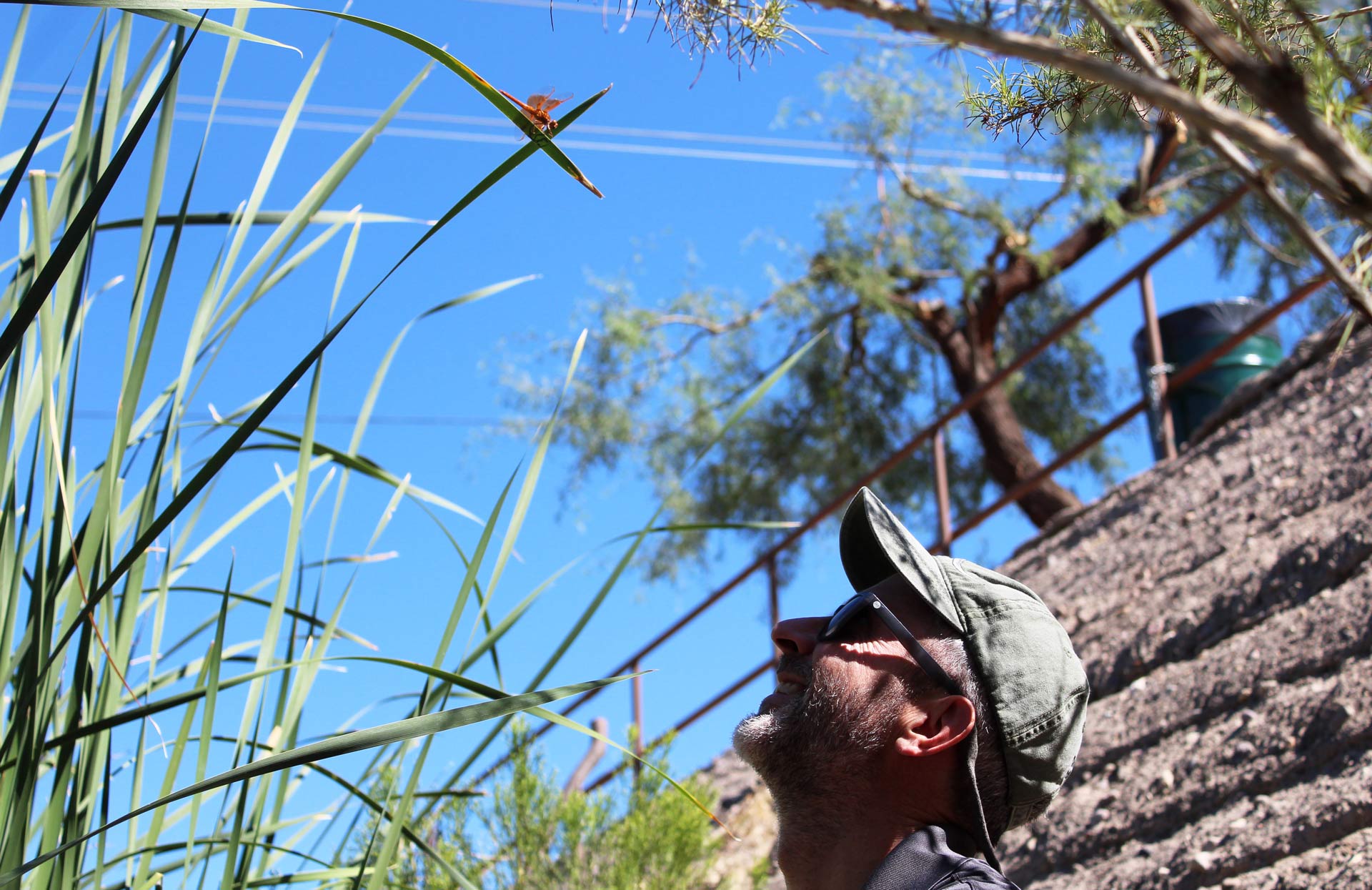 Michael Bogan and Dragonfly