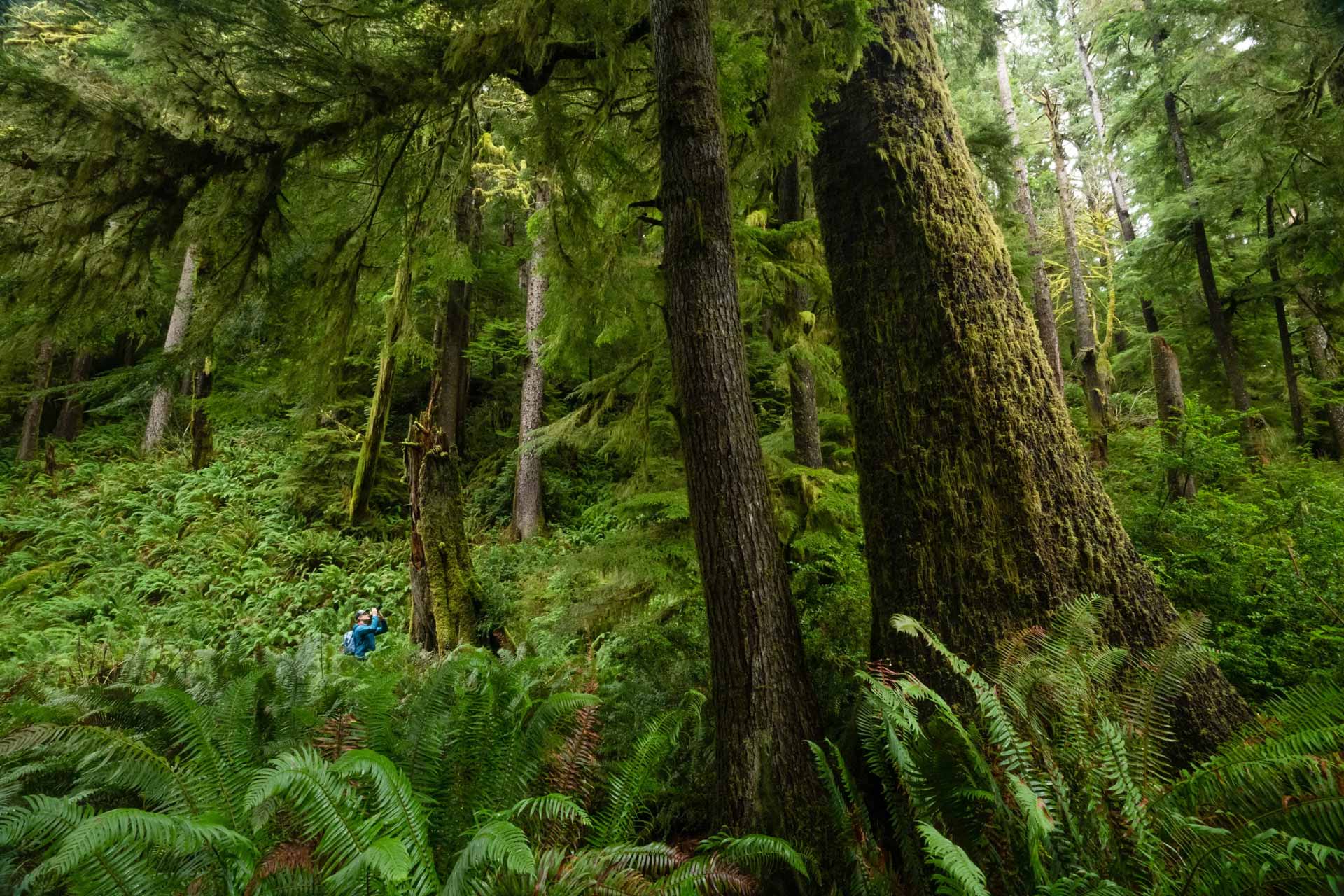 NPR hiker taking photo