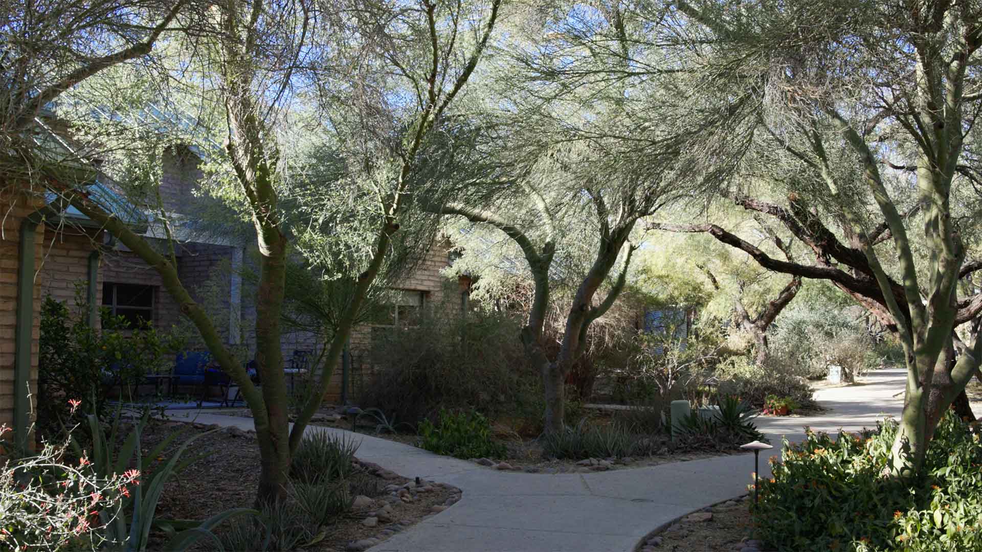 Milagro Cohousing