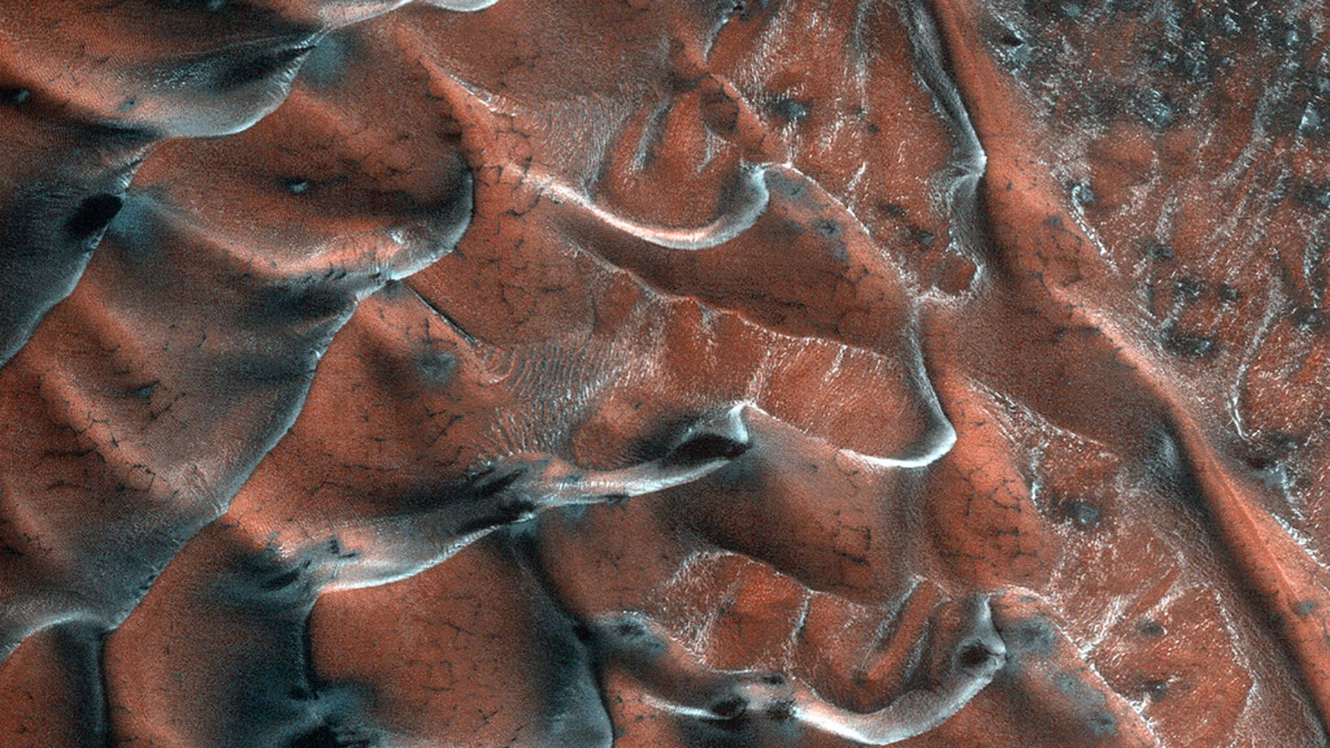 Frost-edged sand dunes on Mars.