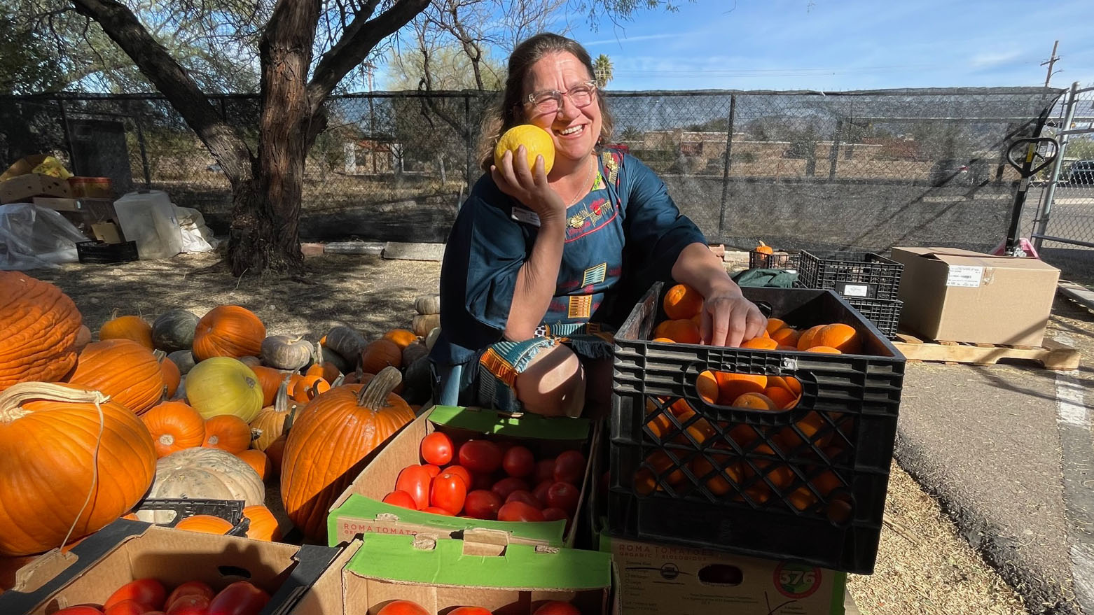 Harvesting fruit 2025 Barbara Eiswerth