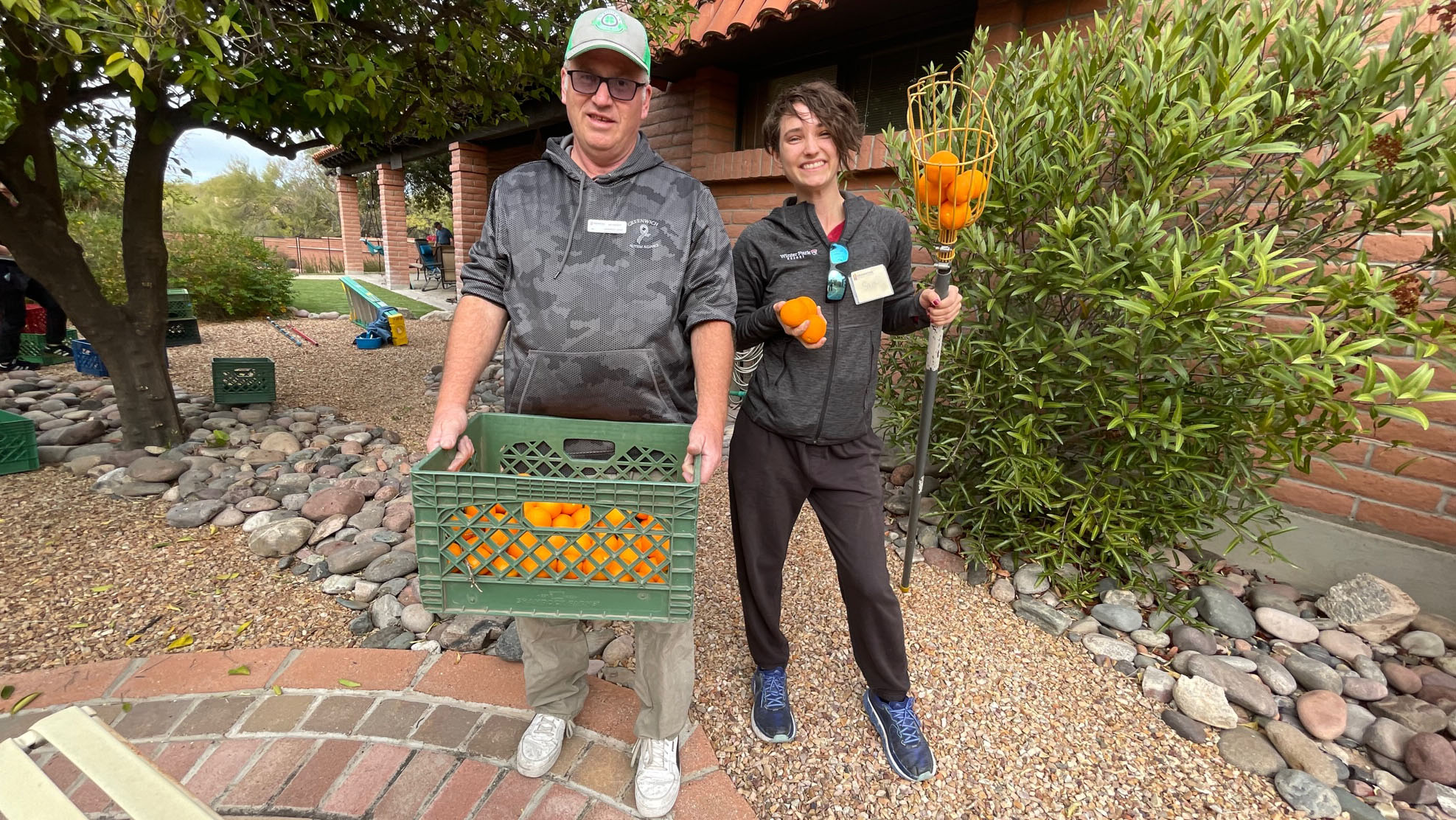 Harvesting fruit 2025 Jim and Sam 