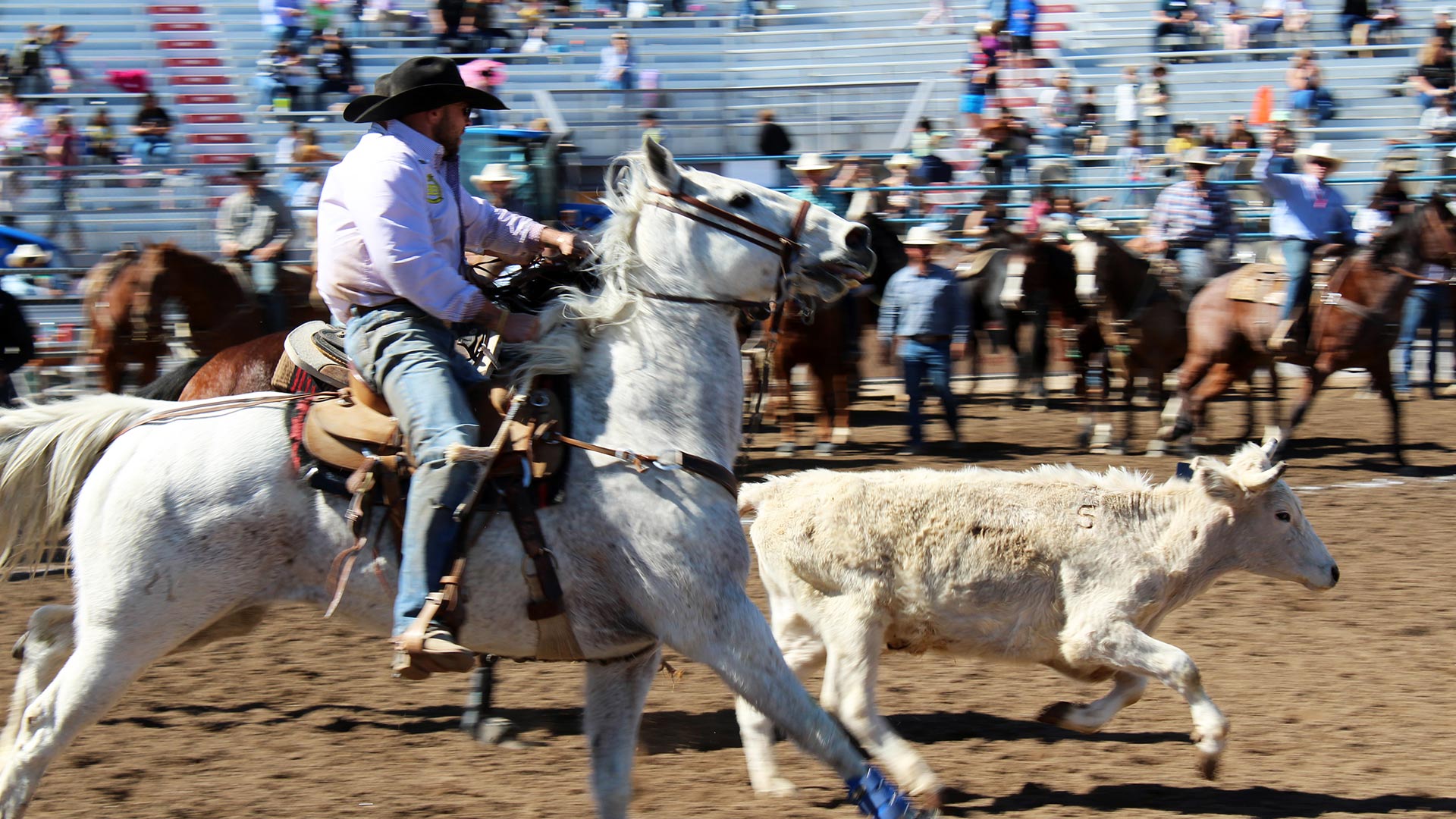 Rodeo Cowboy