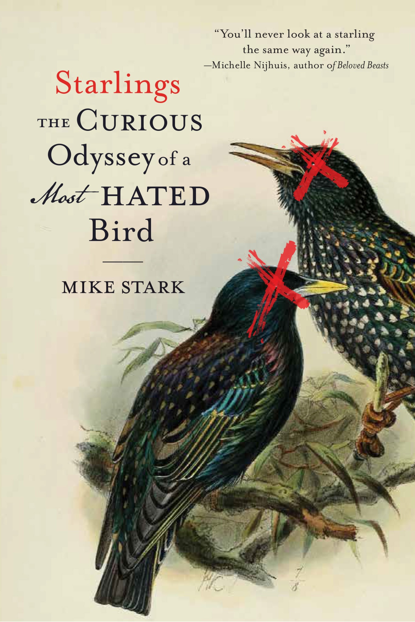 starlings cover mike stark unsized