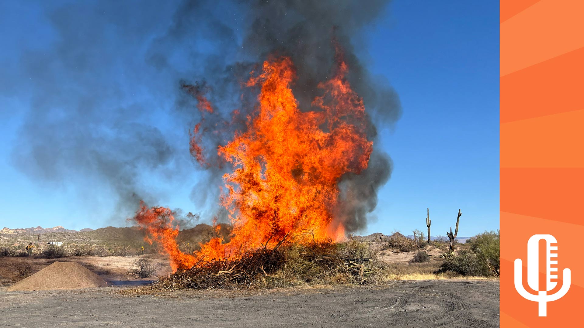 The Buzz: Preventing catastrophic wildfires