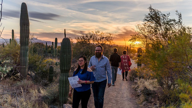 Cool Summer Nights at Arizona-Sonora Desert Museum