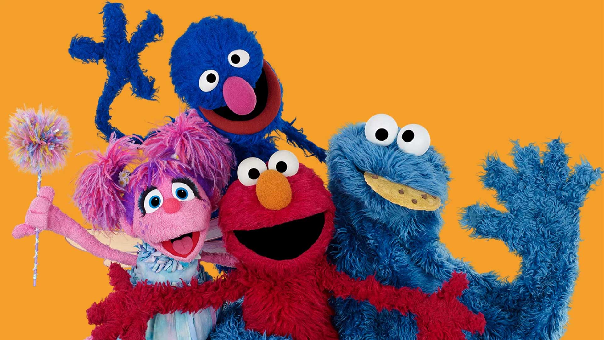 The cast of Sesame Street.