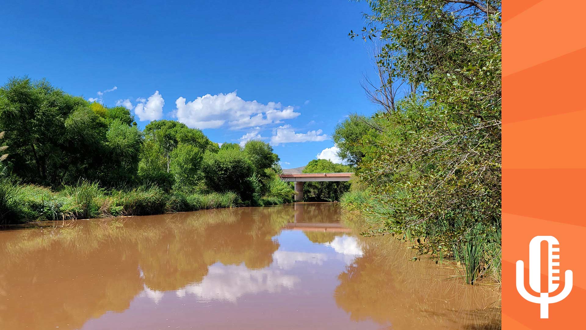 Buzz Verde River mezz