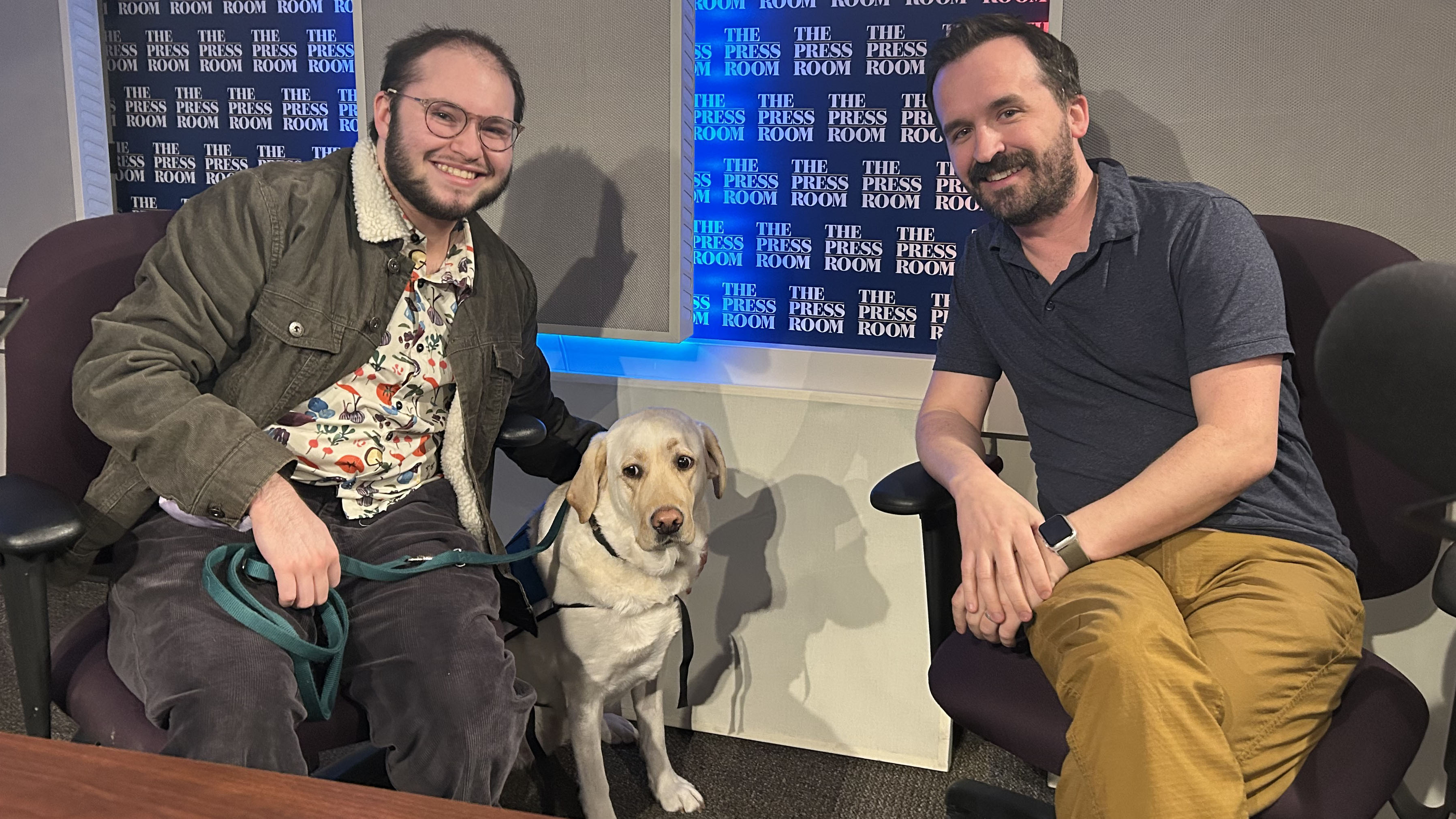 Ability Dogs Studio Hero