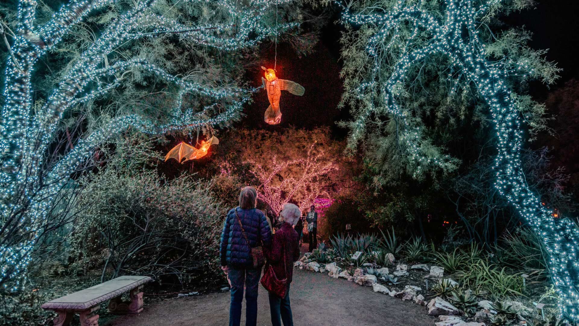 Tucson botanical garden lights hero