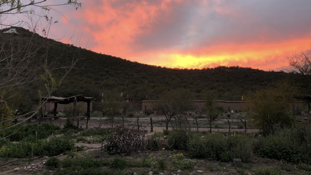 Summer Sunsets at Mission Garden